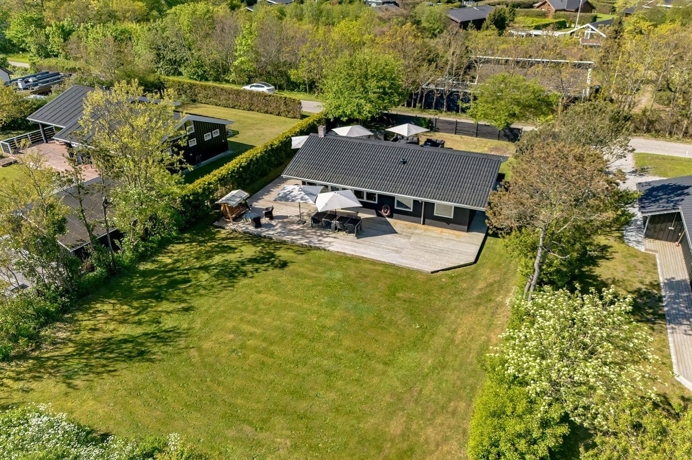 Fremhævet  billede i fuldskærmstilstand. Billede af Fruerlund Plantage 2, Fruerlund, 9560 Hadsund