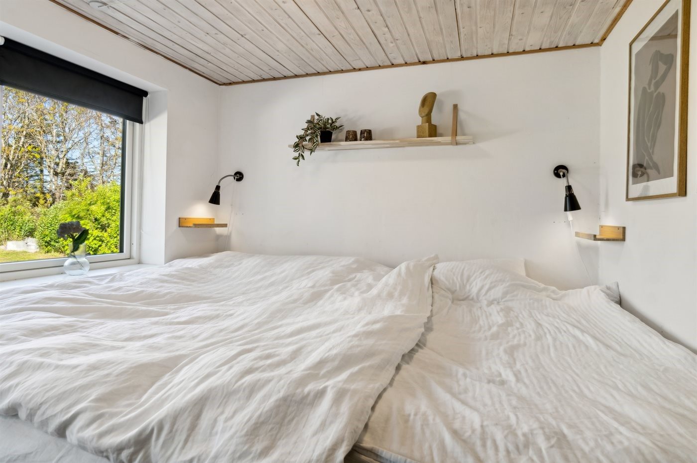 Fremhævet  billede i fuldskærmstilstand. Billede af Fruerlund Plantage 2, Fruerlund, 9560 Hadsund