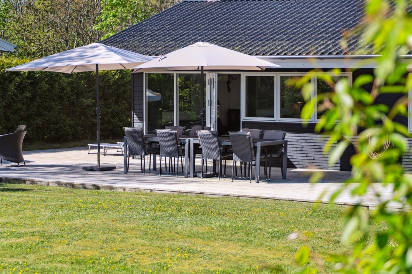 Fremhævet  billede i fuldskærmstilstand. Billede af Fruerlund Plantage 2, Fruerlund, 9560 Hadsund