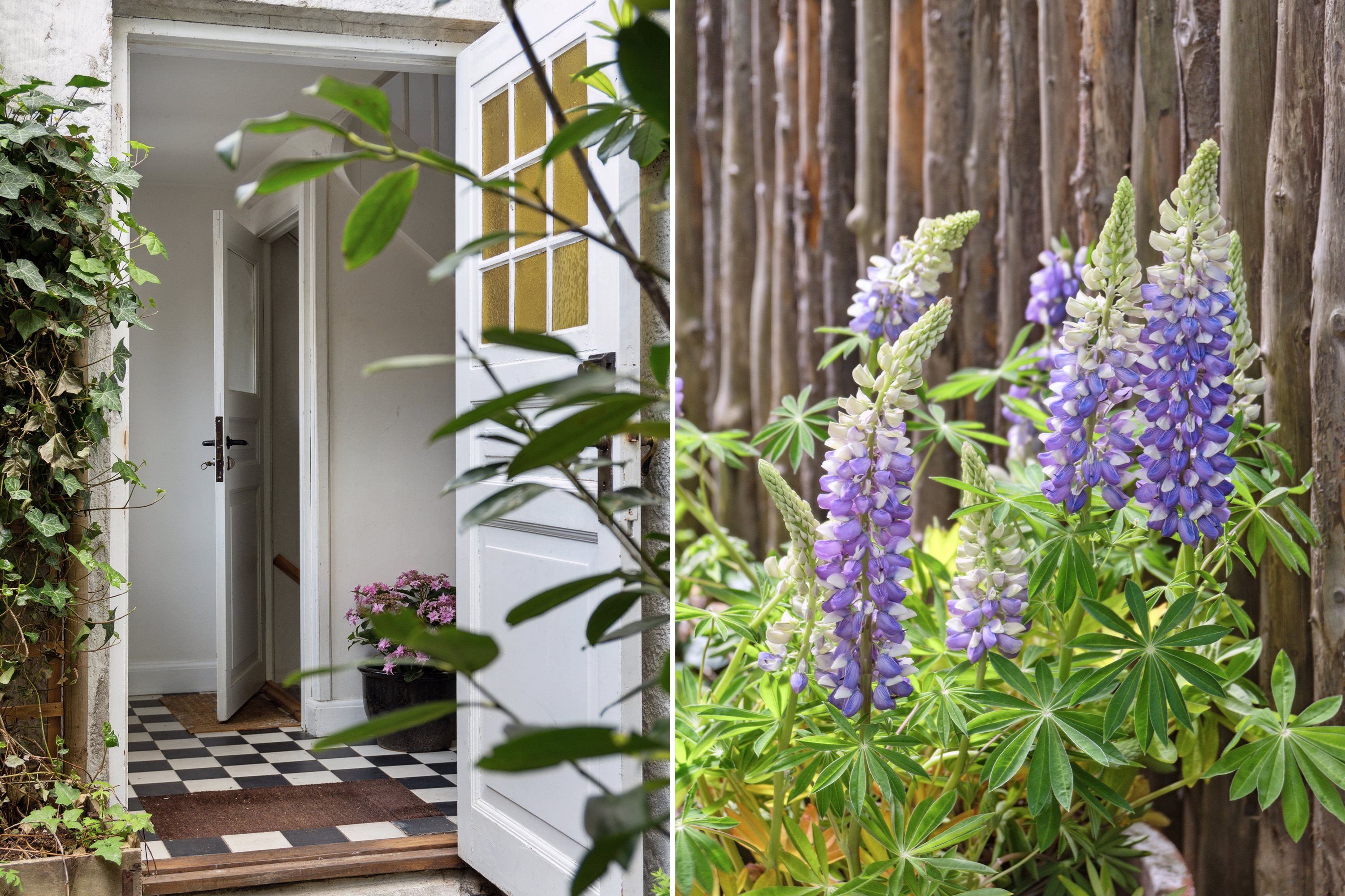 Fremhævet  billede i fuldskærmstilstand. Billede af Becksvej 1, 1., 2930 Klampenborg