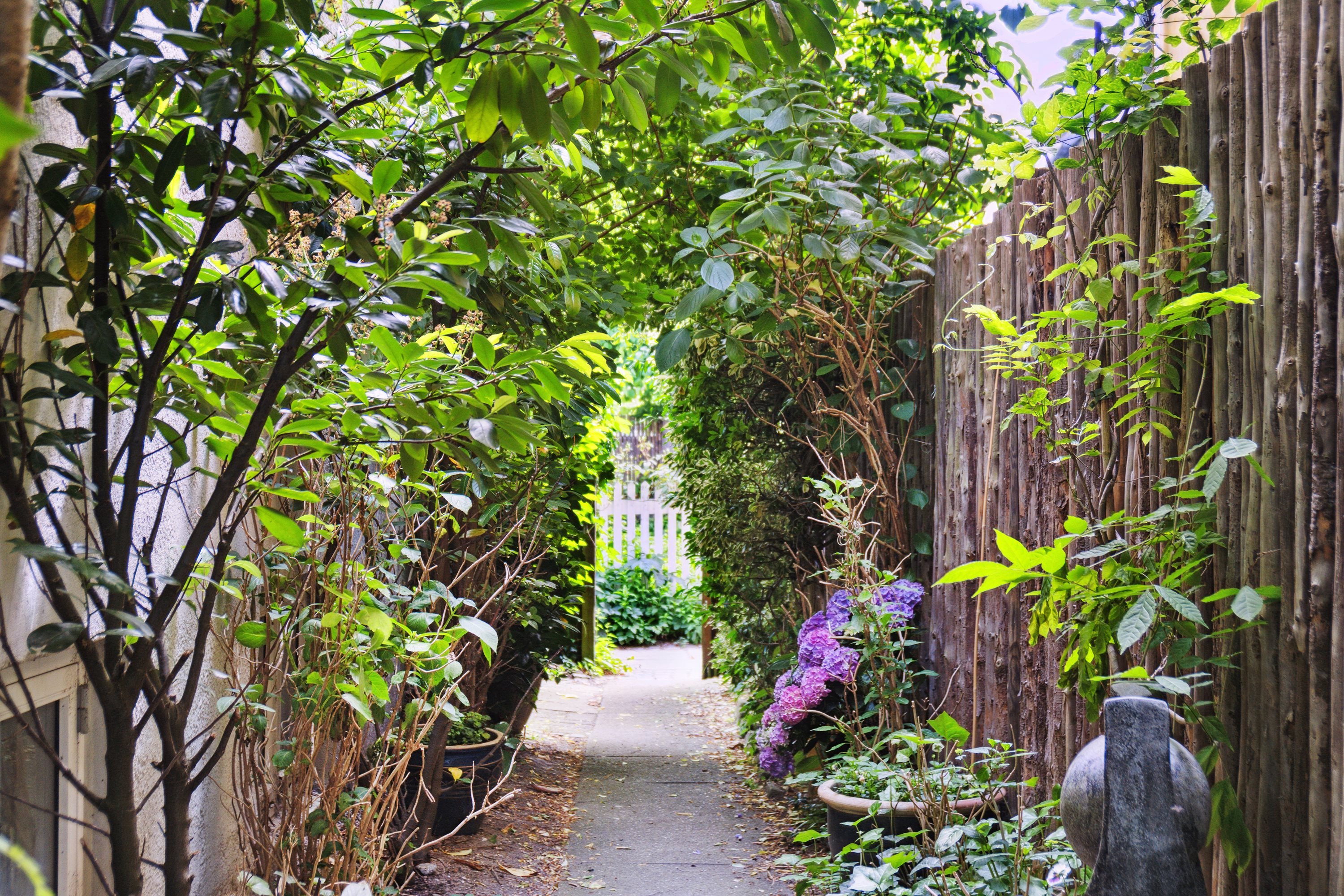 Fremhævet  billede i fuldskærmstilstand. Billede af Becksvej 1, 1., 2930 Klampenborg