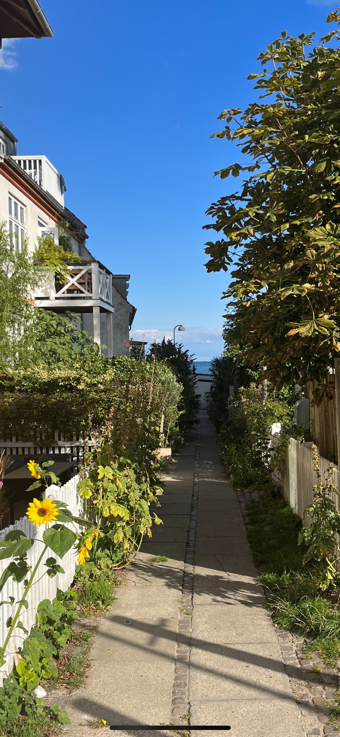 Fremhævet  billede i fuldskærmstilstand. Billede af Becksvej 1, 1., 2930 Klampenborg