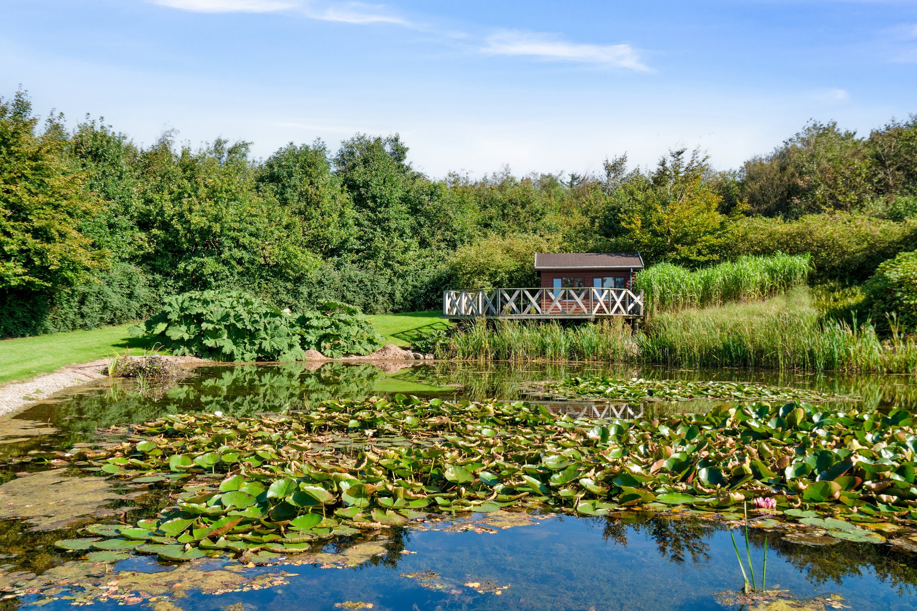 Miniaturebillede 1: haven. Billede af Beerstedvej 11, Beersted, 7752 Snedsted