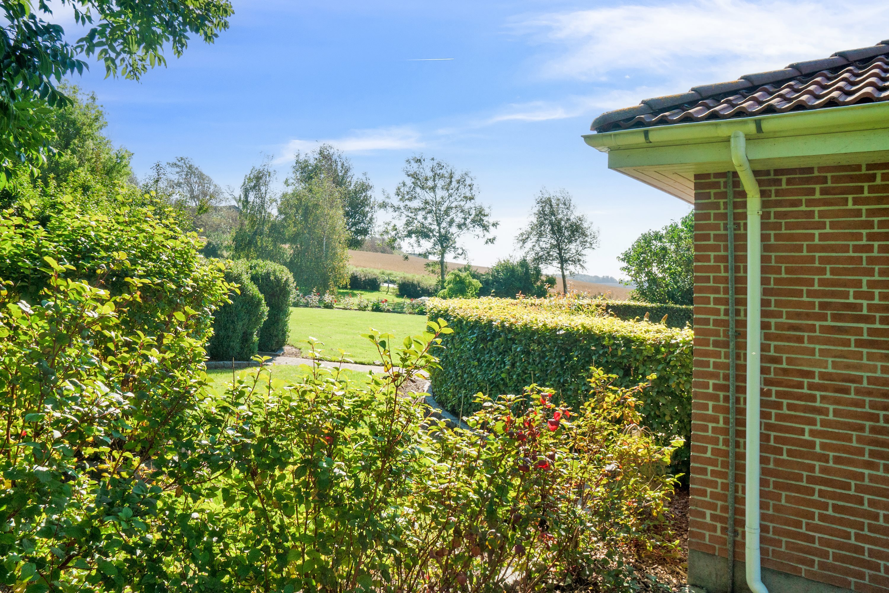 Fremhævet haven billede i fuldskærmstilstand. Billede af Beerstedvej 11, Beersted, 7752 Snedsted