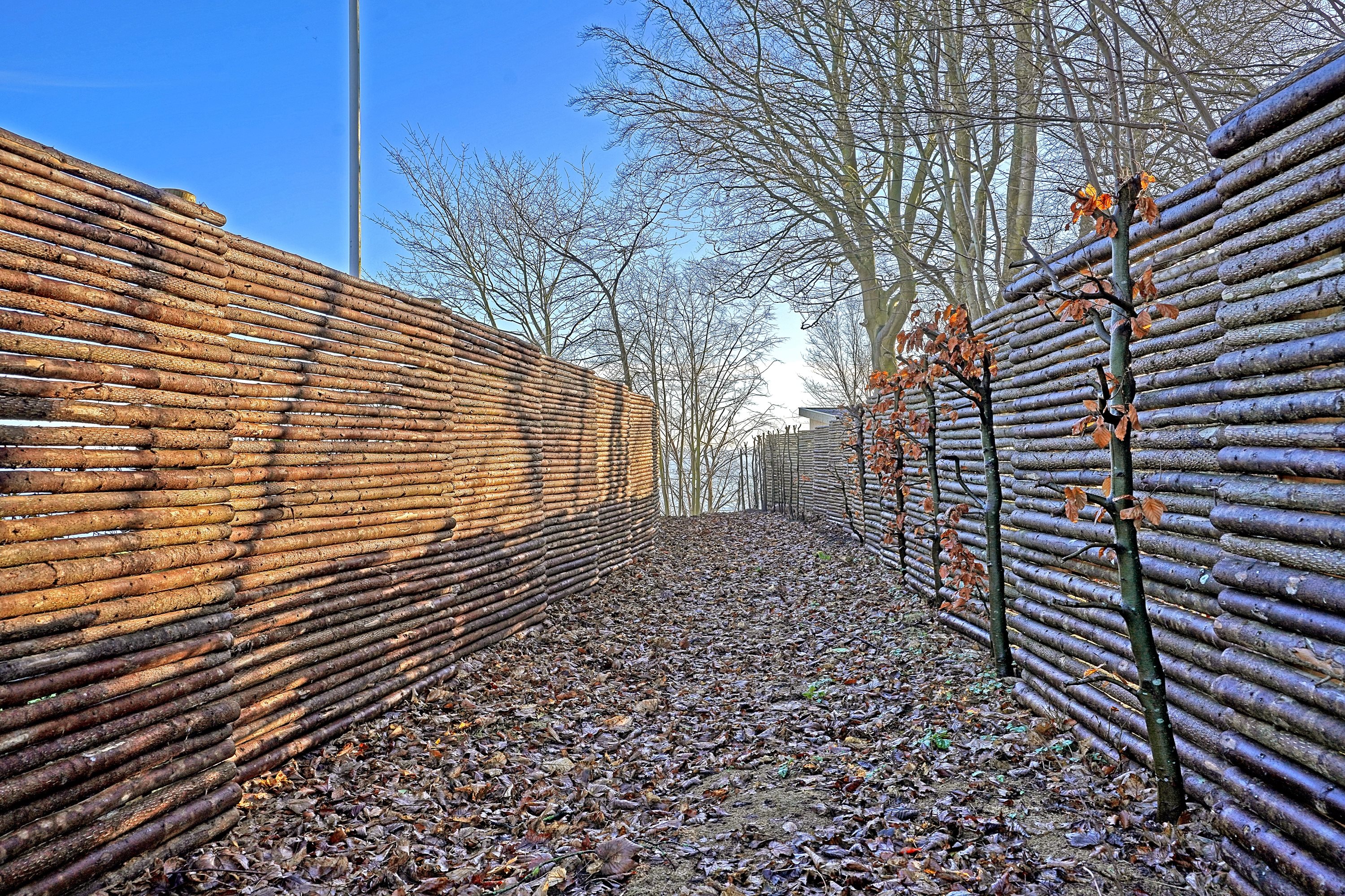 Fremhævet område billede i fuldskærmstilstand. Billede af Strand Alle 11, 3050 Humlebæk