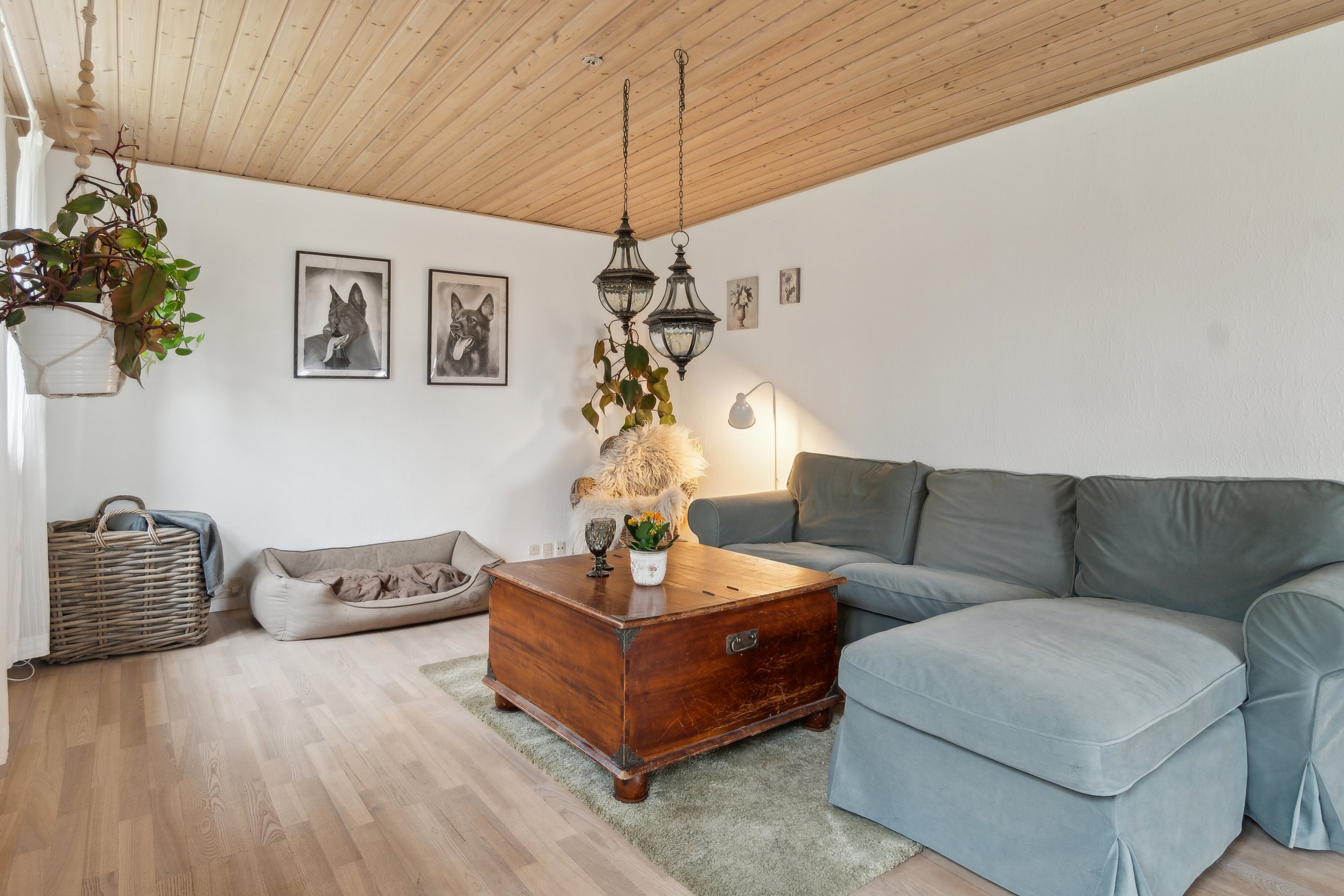 Fremhævet stue billede i fuldskærmstilstand. Billede af Ringstedvej 181, 4300 Holbæk