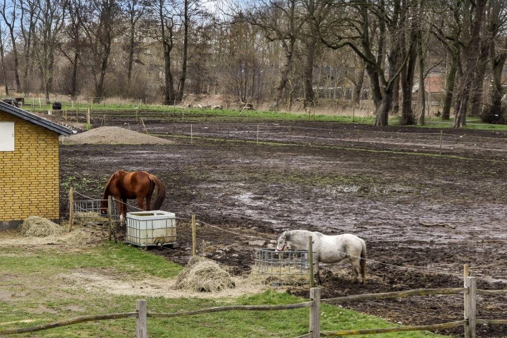Fremhævet  billede i fuldskærmstilstand. Billede af Lindvedhave 69, Lindved, 5260 Odense S