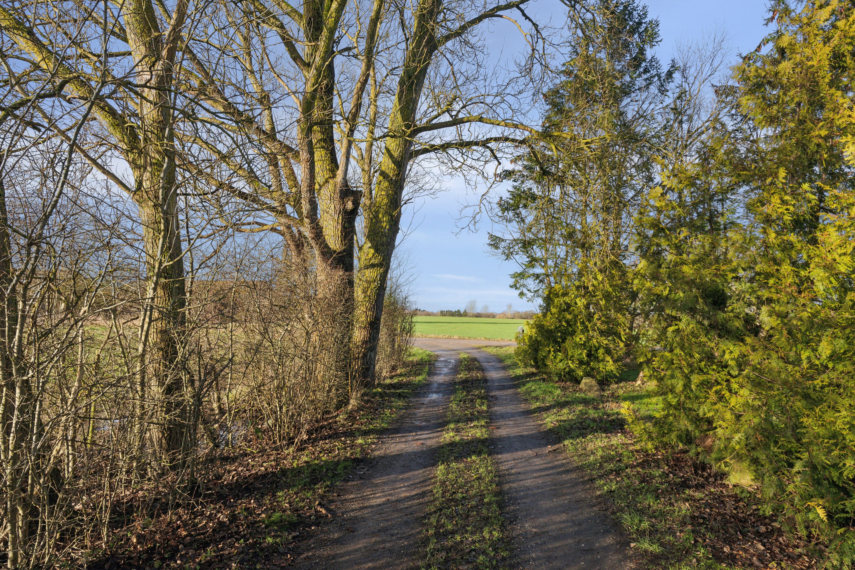 Fremhævet udendørs billede i fuldskærmstilstand. Billede af Skov-Torupvej 15, Skov-Torup, 4683 Rønnede