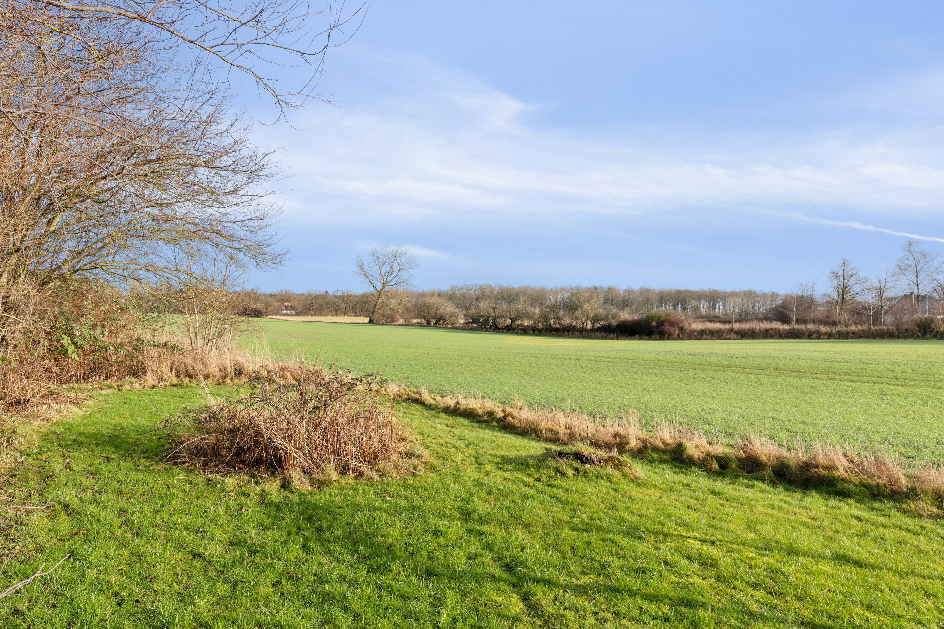 Fremhævet udendørs billede i fuldskærmstilstand. Billede af Skov-Torupvej 15, Skov-Torup, 4683 Rønnede