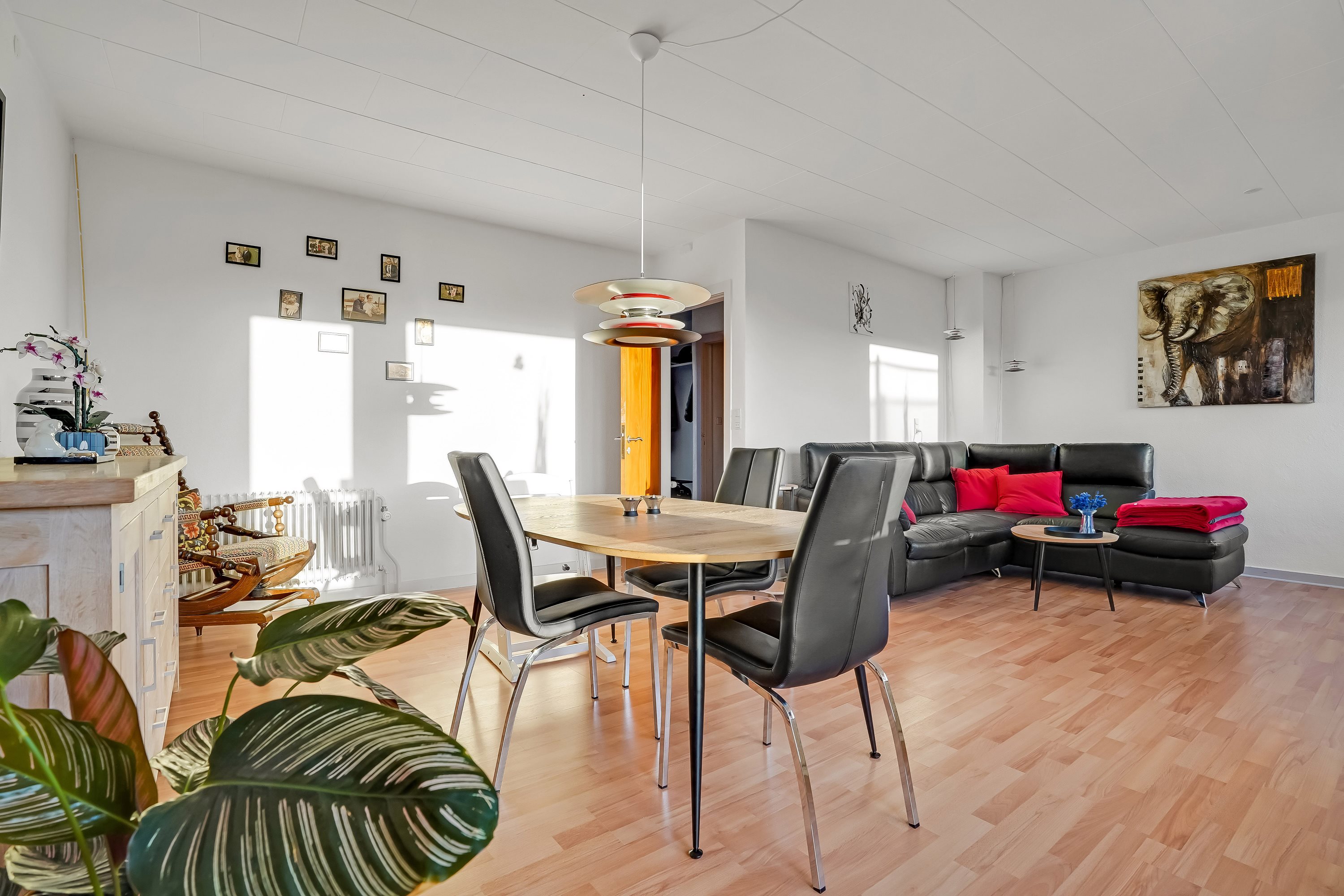 Fremhævet andet billede i fuldskærmstilstand. Billede af Hørlycks Alle 14, 7200 Grindsted