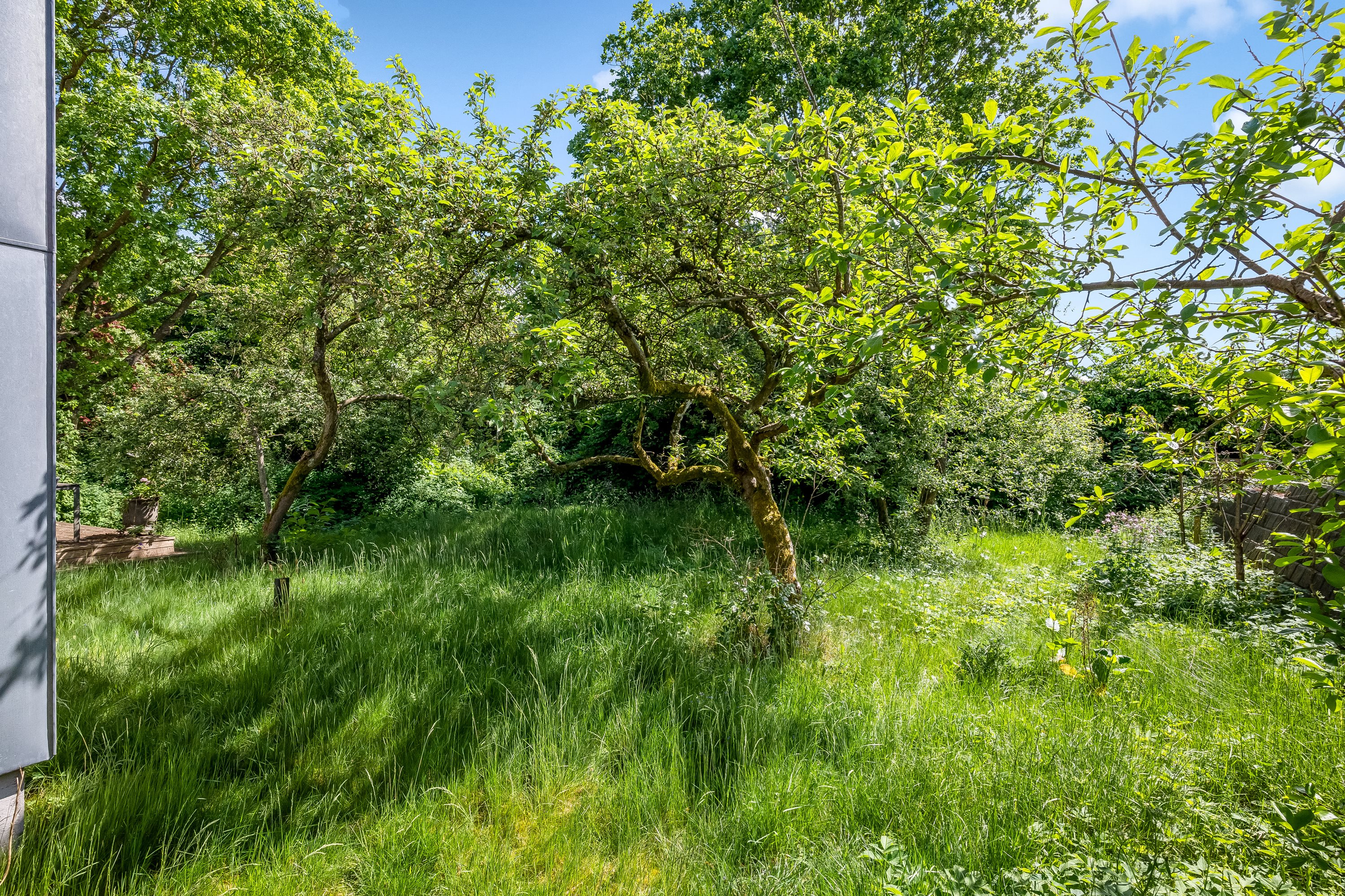 Fremhævet  billede i fuldskærmstilstand. Billede af Solsortevej 8, 7500 Holstebro