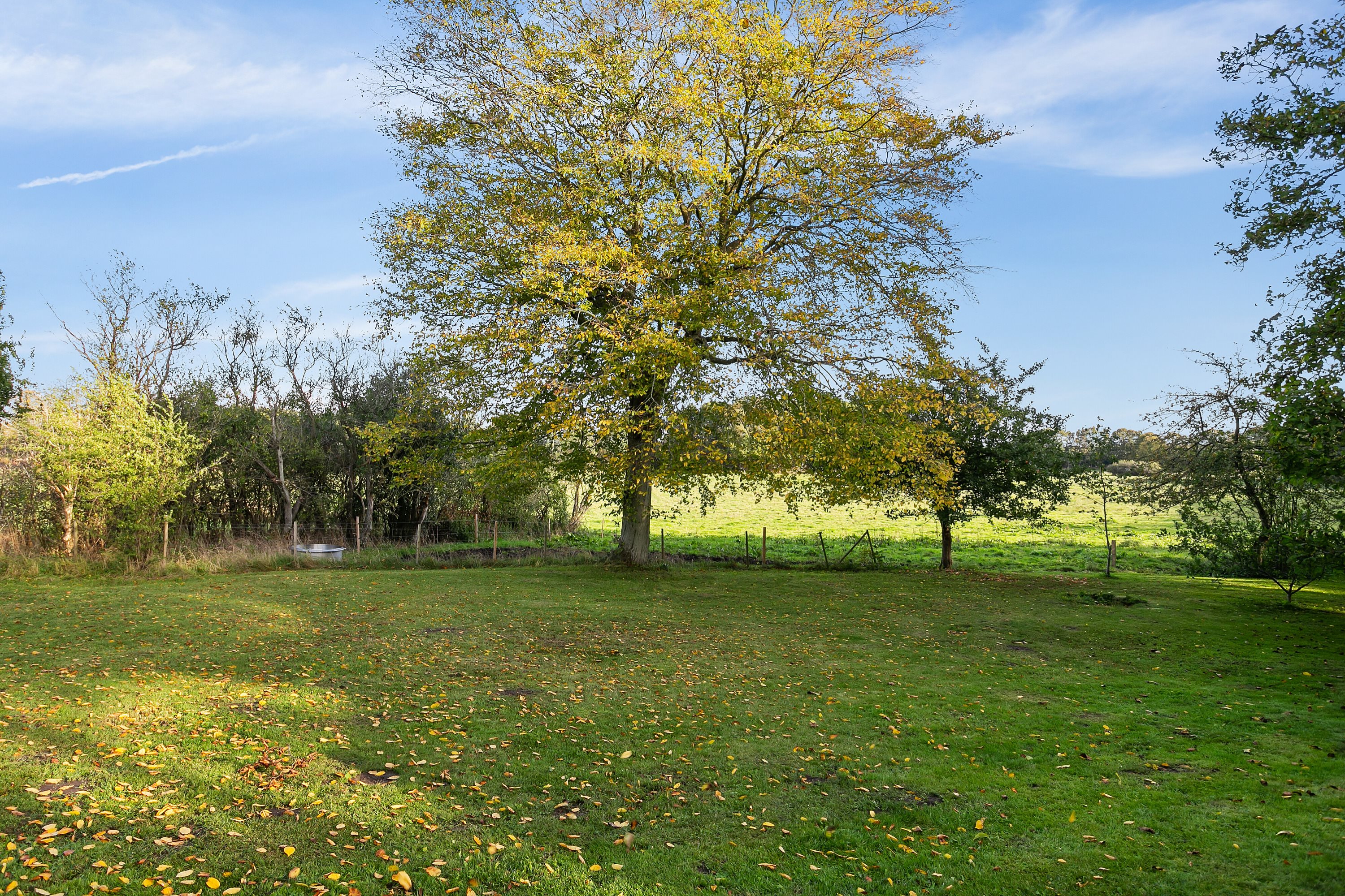 Miniaturebillede 1: have. Billede af Faurshøjvej 54, Korinth, 5600 Faaborg