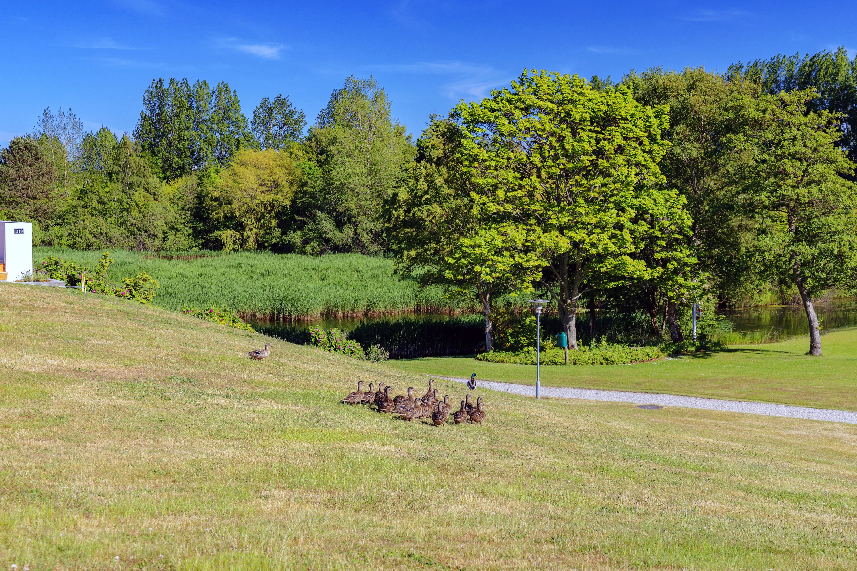 Fremhævet  billede i fuldskærmstilstand. Billede af Dageløkke Marina 4B, 5953 Tranekær
