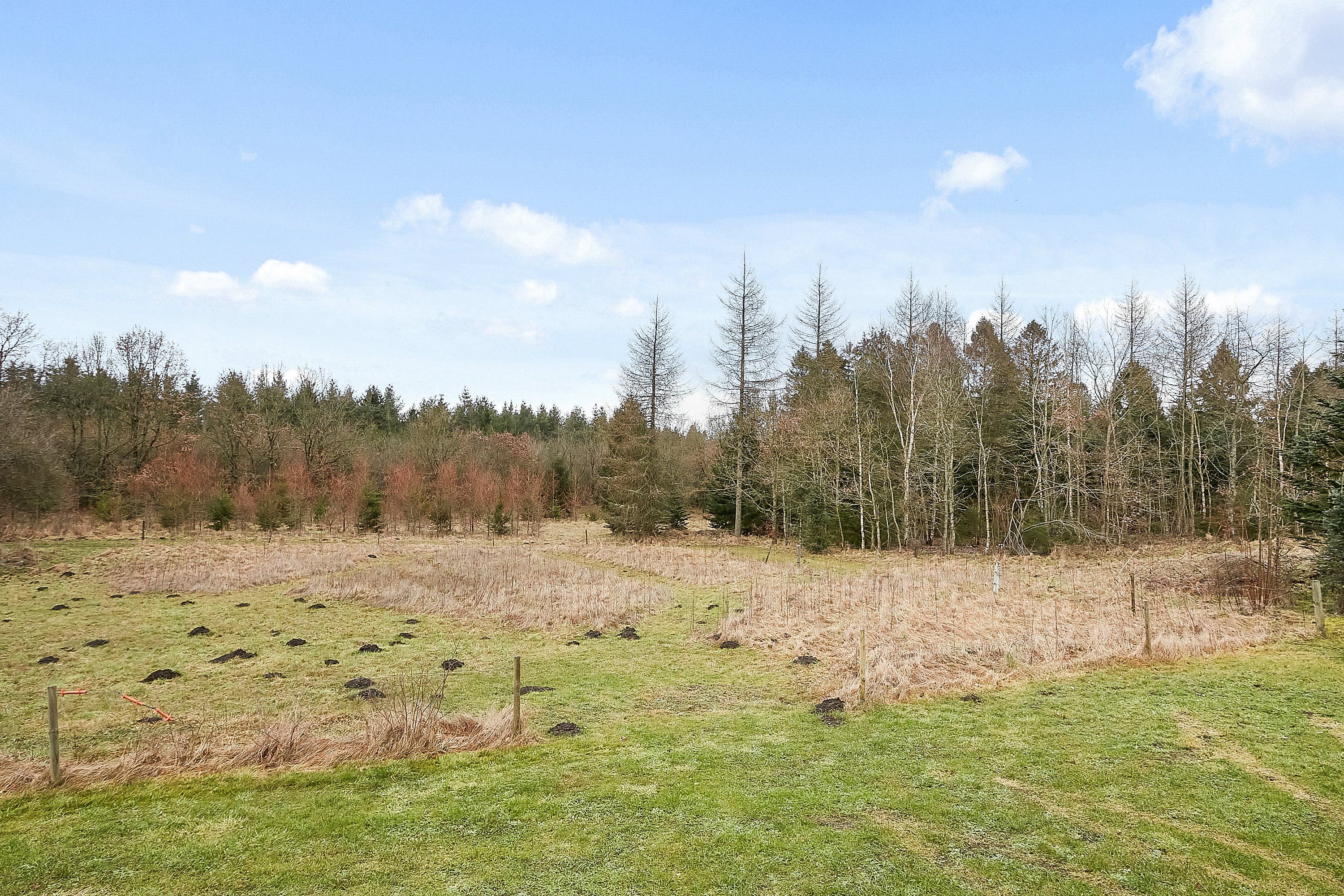 Fremhævet have billede i fuldskærmstilstand. Billede af Hallevej 14, Halle, 8740 Brædstrup