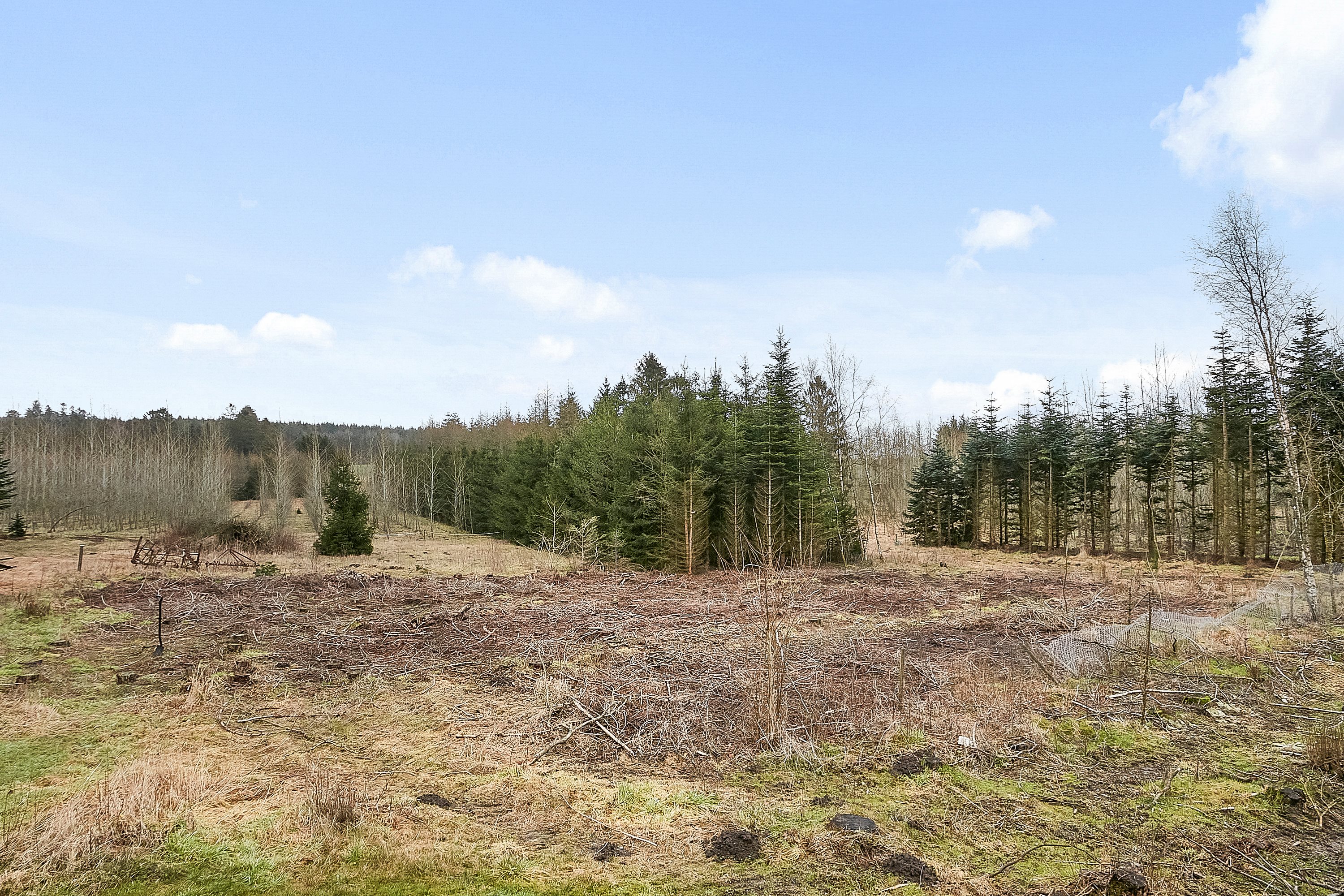 Fremhævet have billede i fuldskærmstilstand. Billede af Hallevej 14, Halle, 8740 Brædstrup