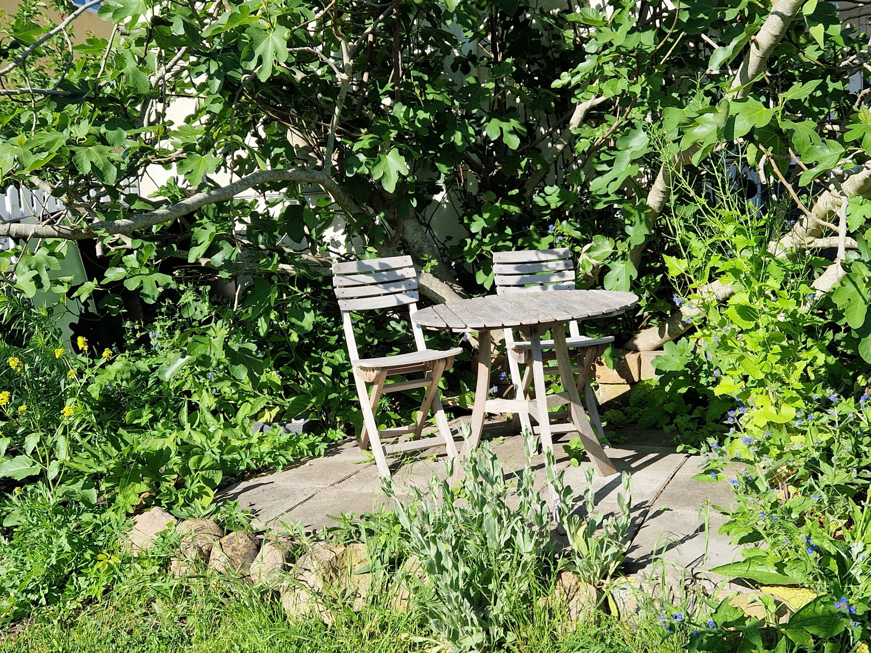 Fremhævet  billede i fuldskærmstilstand. Billede af Overgade 14, 8400 Ebeltoft