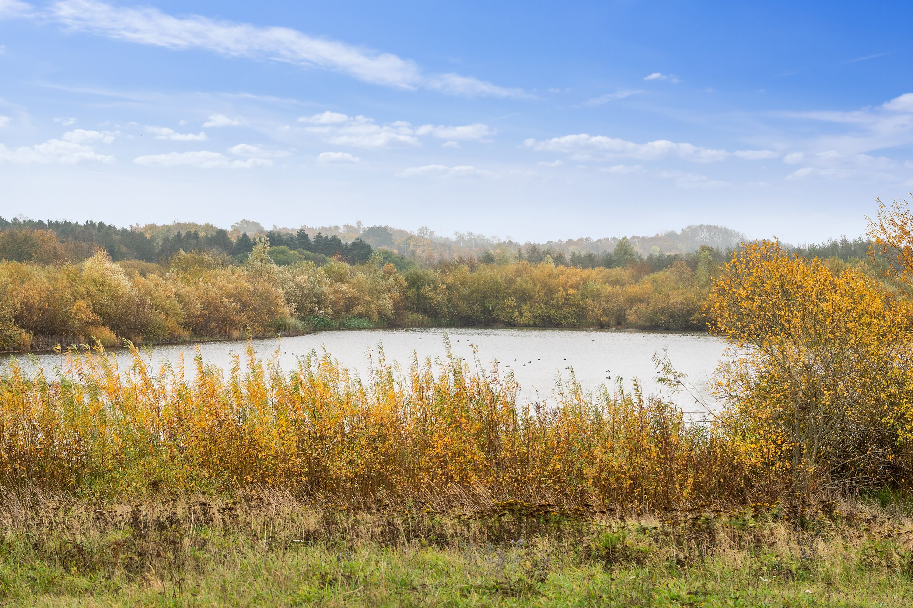 Fremhævet udendørs billede i fuldskærmstilstand. Billede af Sønderdamsvej 6, 4573 Højby
