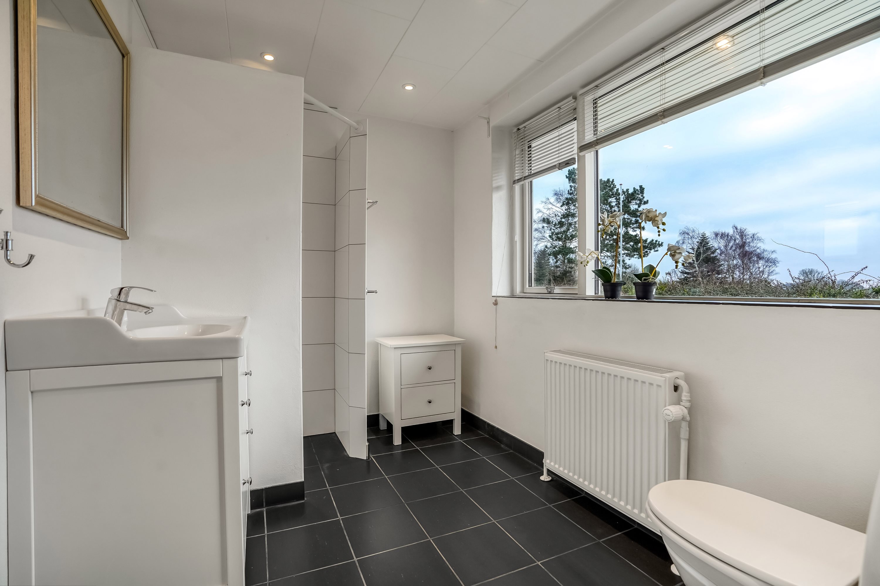 Fremhævet badeværelse billede i fuldskærmstilstand. Billede af Madehøjvej 4, Midskov, 5370 Mesinge