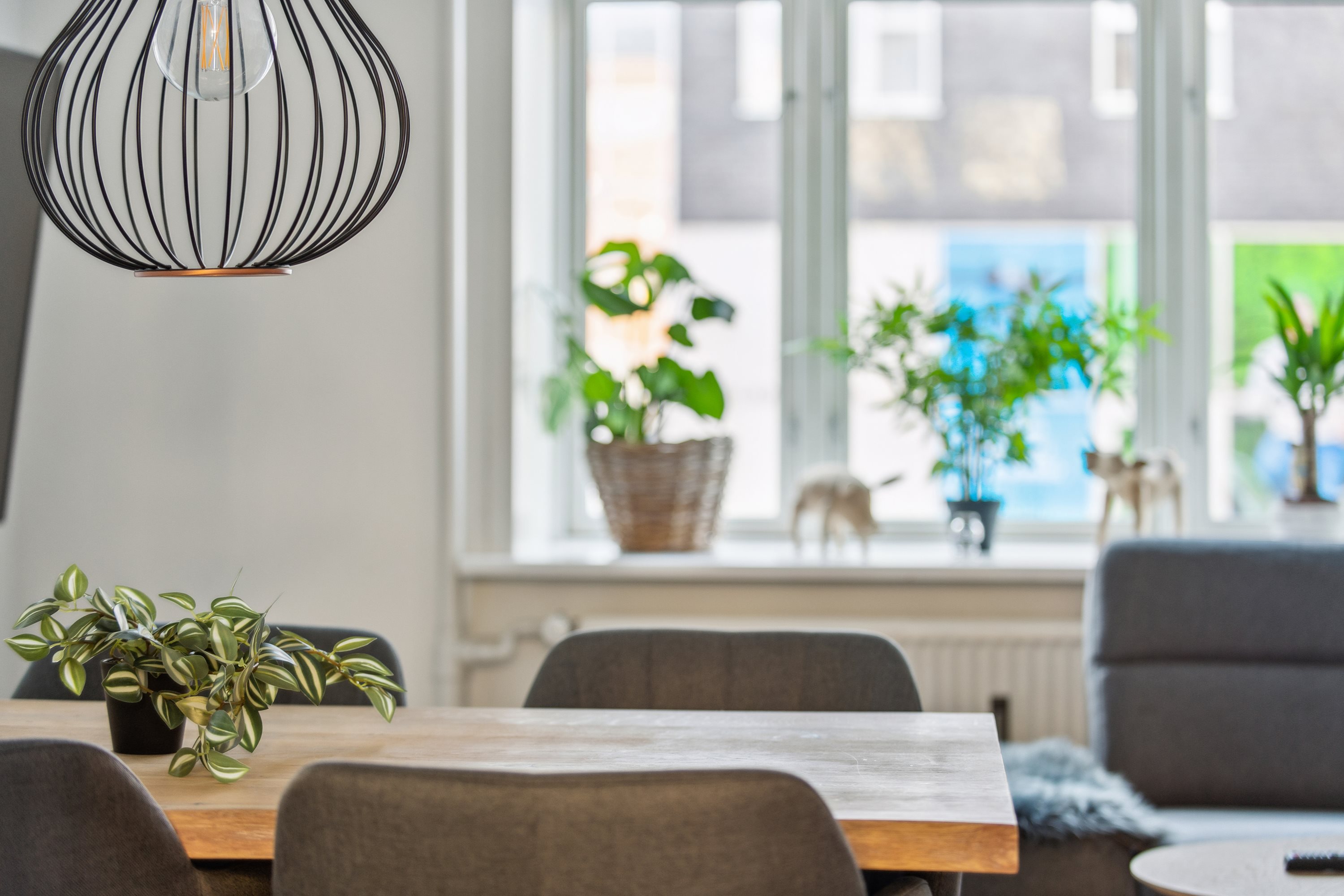 Miniaturebillede 2: stue. Billede af Jyllandsgade 19, st.. th., 9000 Aalborg