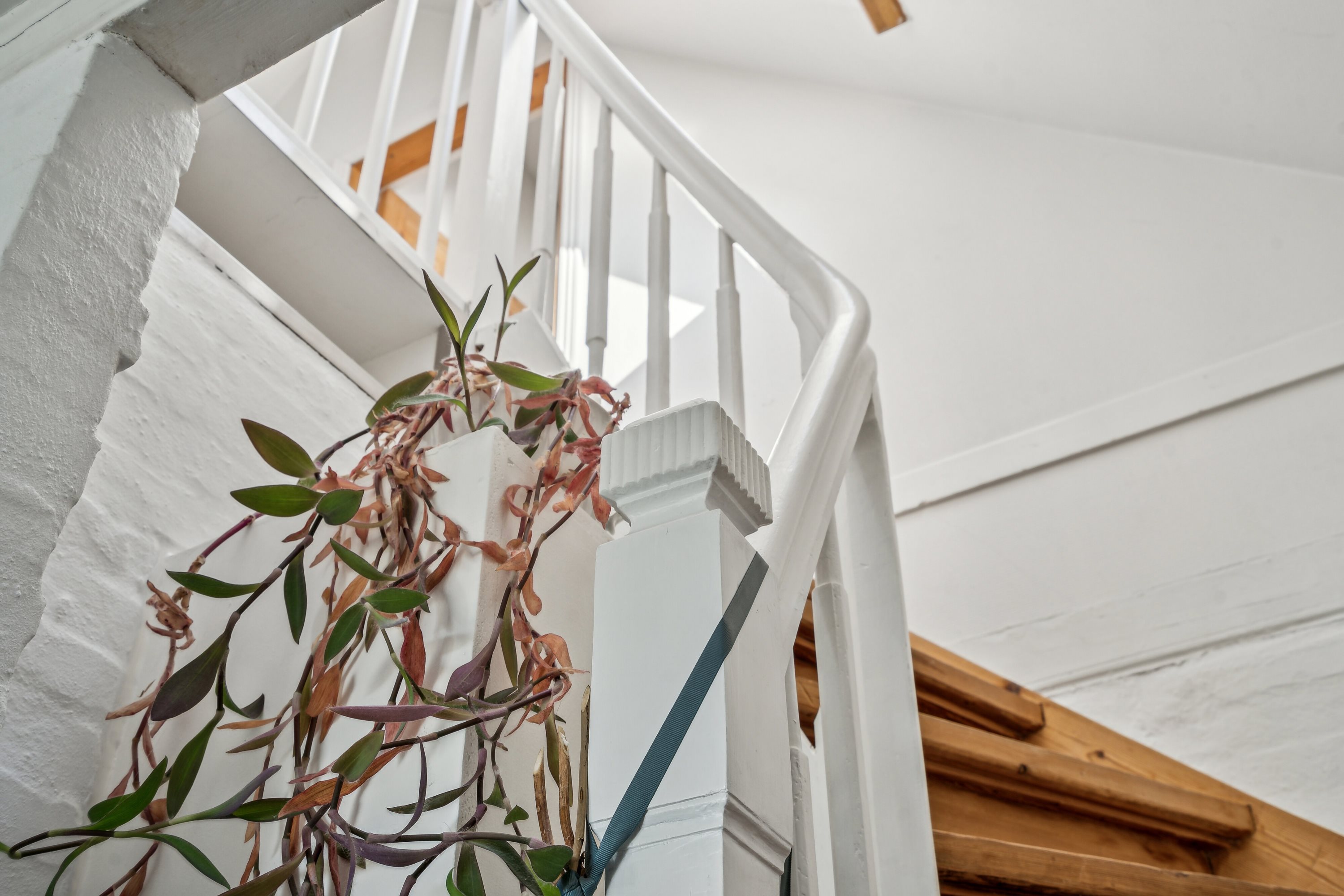 Fremhævet trappe billede i fuldskærmstilstand. Billede af Vårøvej 13, Tåsinge, 5700 Svendborg