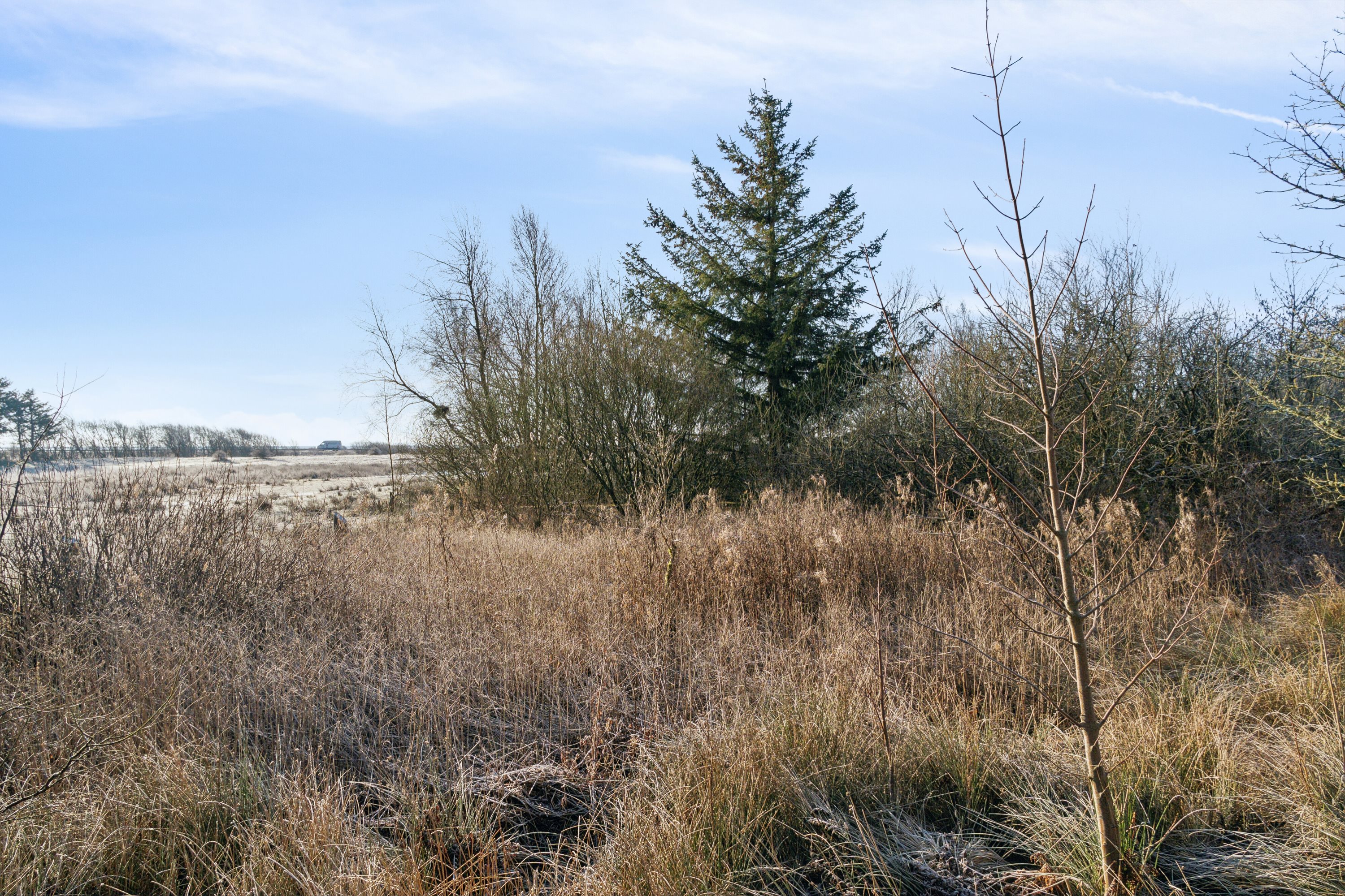 Fremhævet omgivelser billede i fuldskærmstilstand. Billede af Bygholmvej 16, Øsløs, 7742 Vesløs