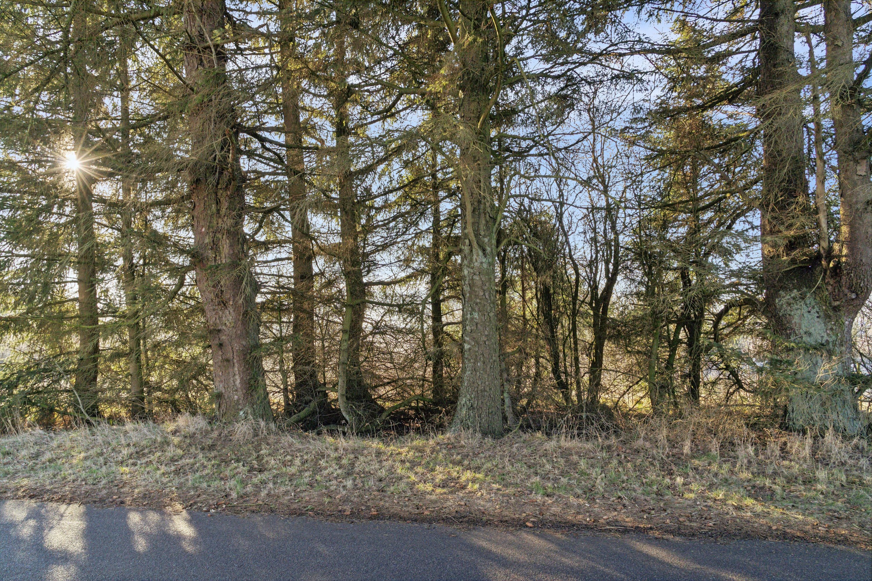 Fremhævet omgivelser billede i fuldskærmstilstand. Billede af Bygholmvej 16, Øsløs, 7742 Vesløs