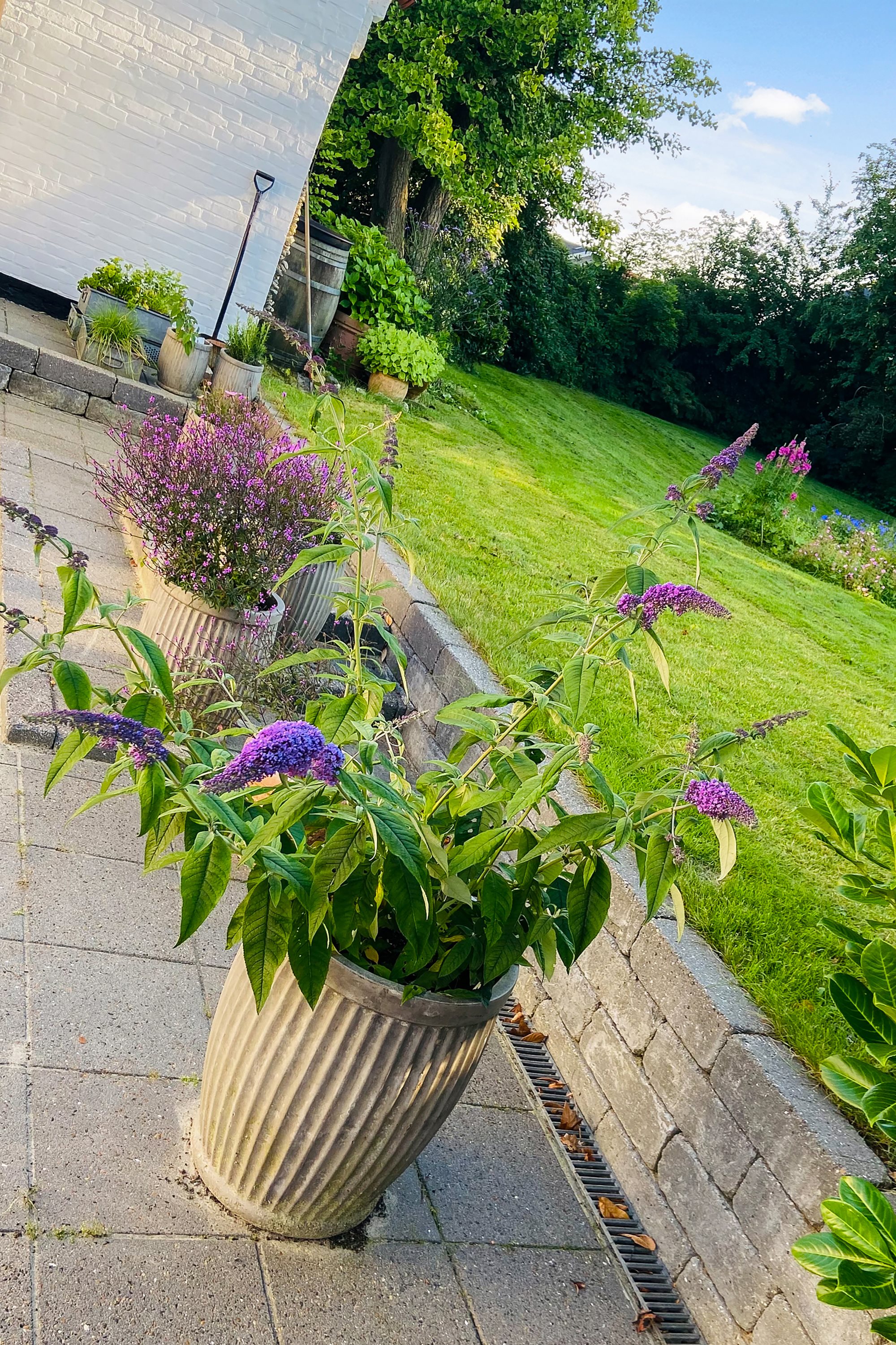 Fremhævet andet billede i fuldskærmstilstand. Billede af Søndergade 16, 8740 Brædstrup