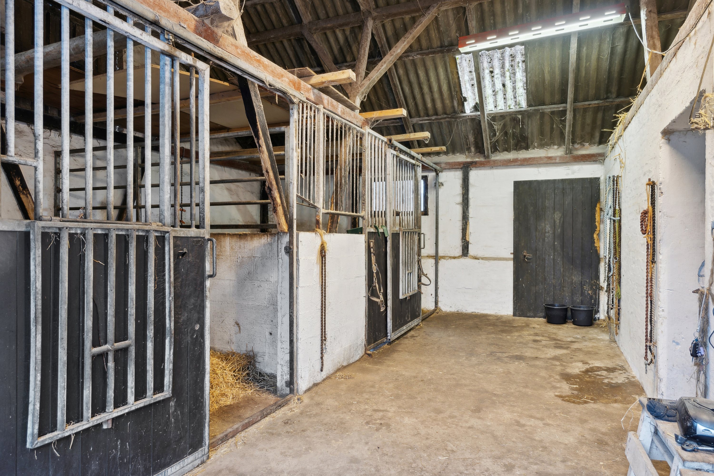 Fremhævet stald billede i fuldskærmstilstand. Billede af Allingdamvej 149, Bjergby, 9800 Hjørring