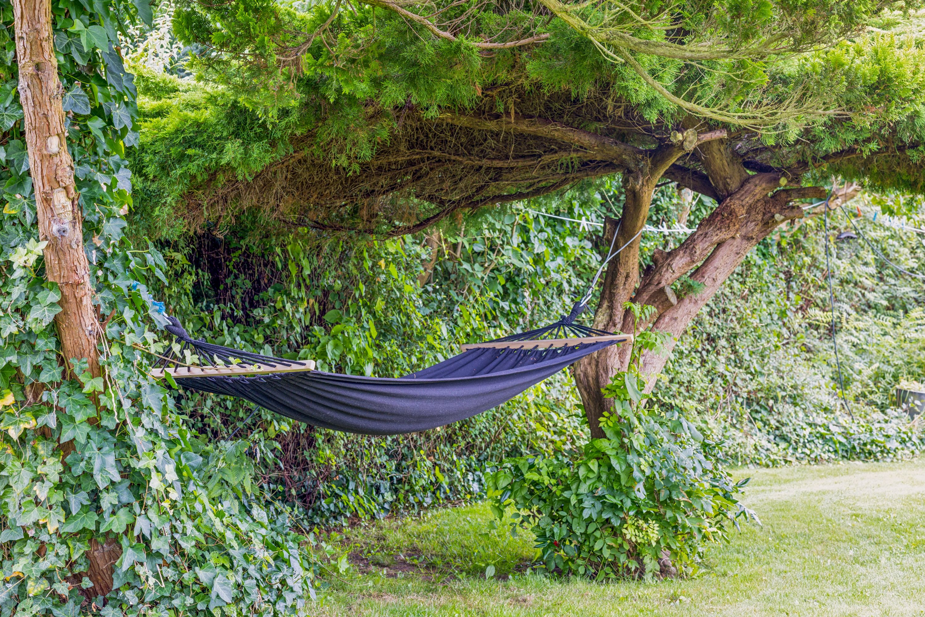 Fremhævet have billede i fuldskærmstilstand. Billede af Østerballe 12, Skelde, 6310 Broager