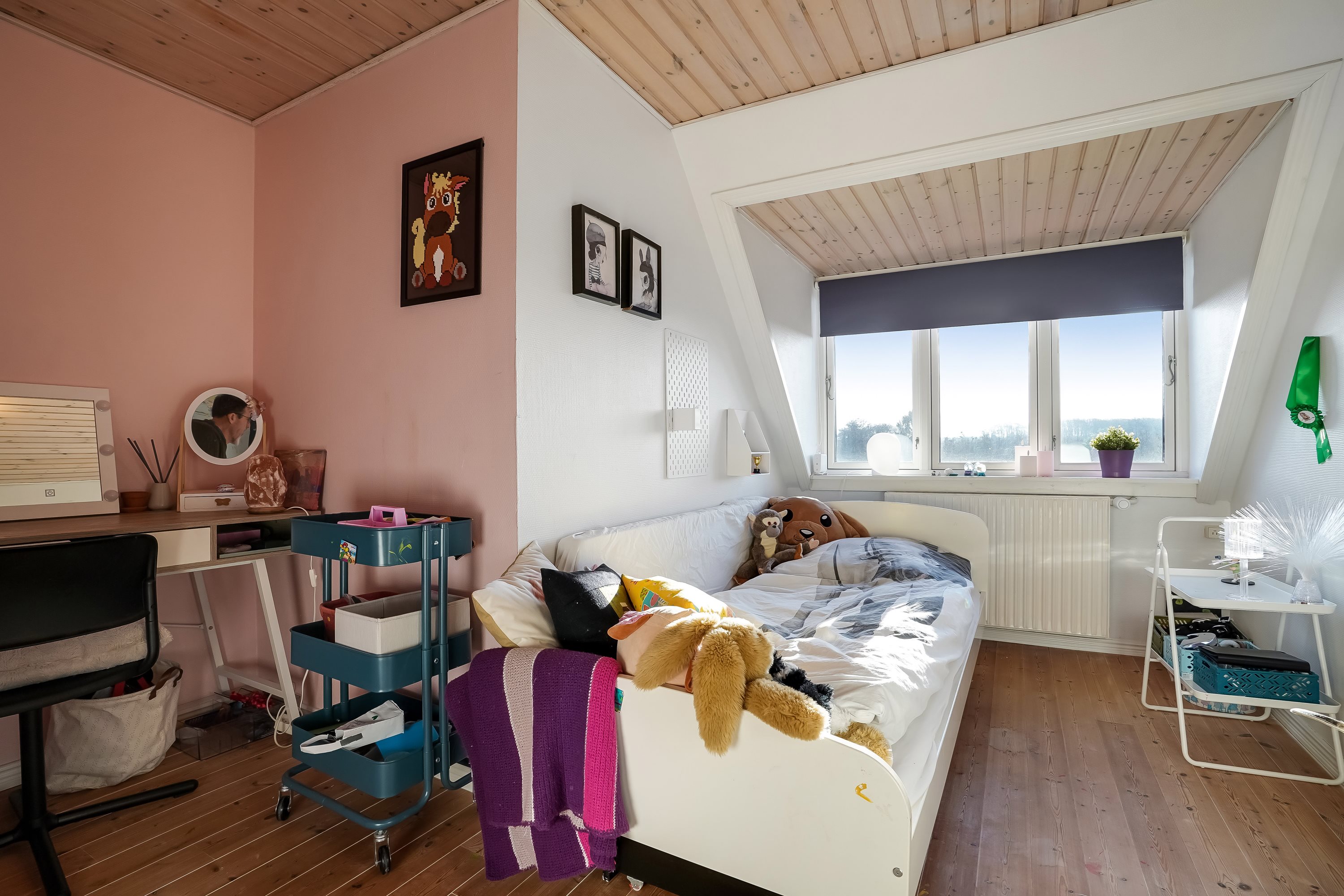 Fremhævet værelse billede i fuldskærmstilstand. Billede af Rugårdsvej 955, Skovsgårde, 5471 Søndersø