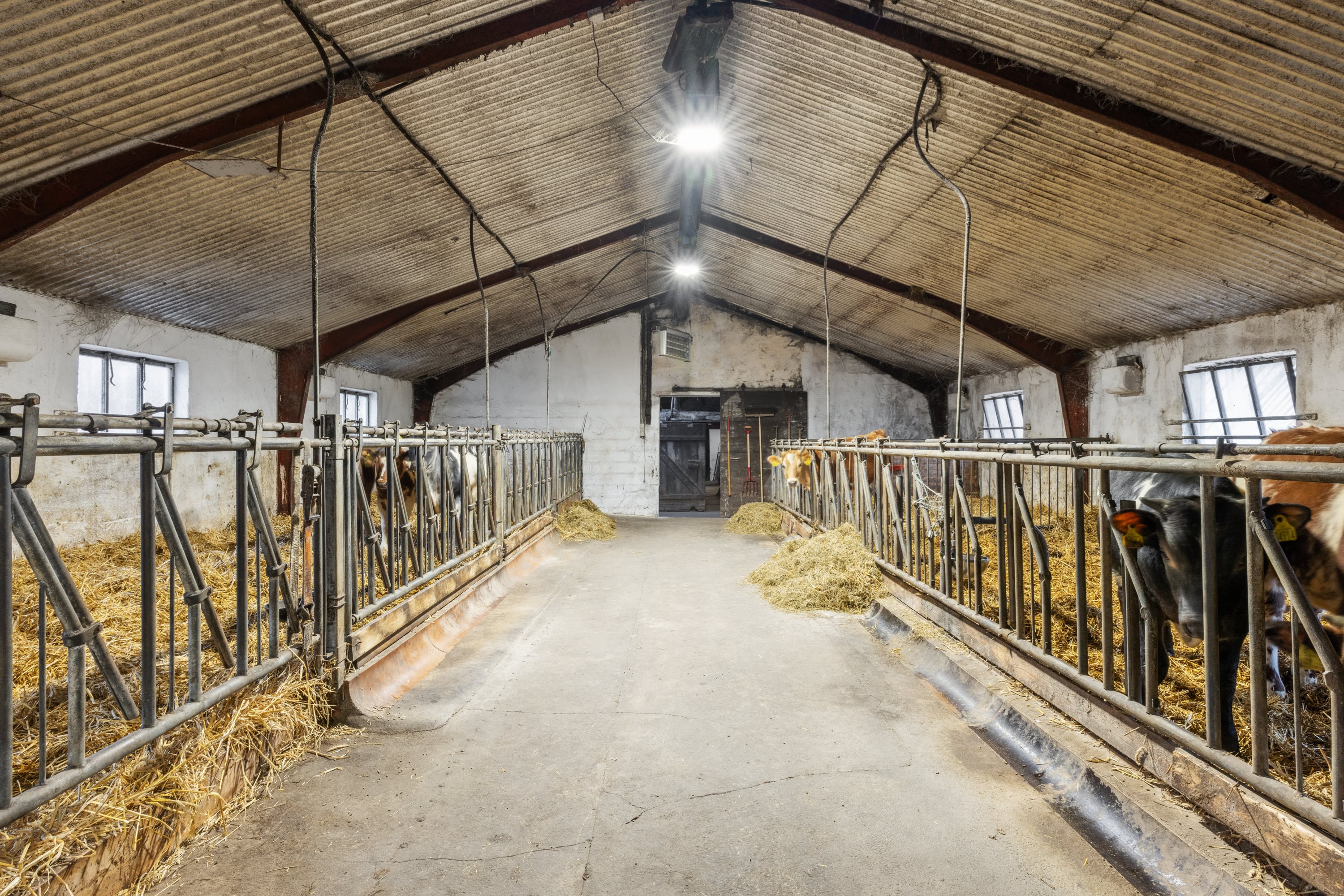 Fremhævet stald billede i fuldskærmstilstand. Billede af Tingvej 53, Tostrup, 9632 Møldrup