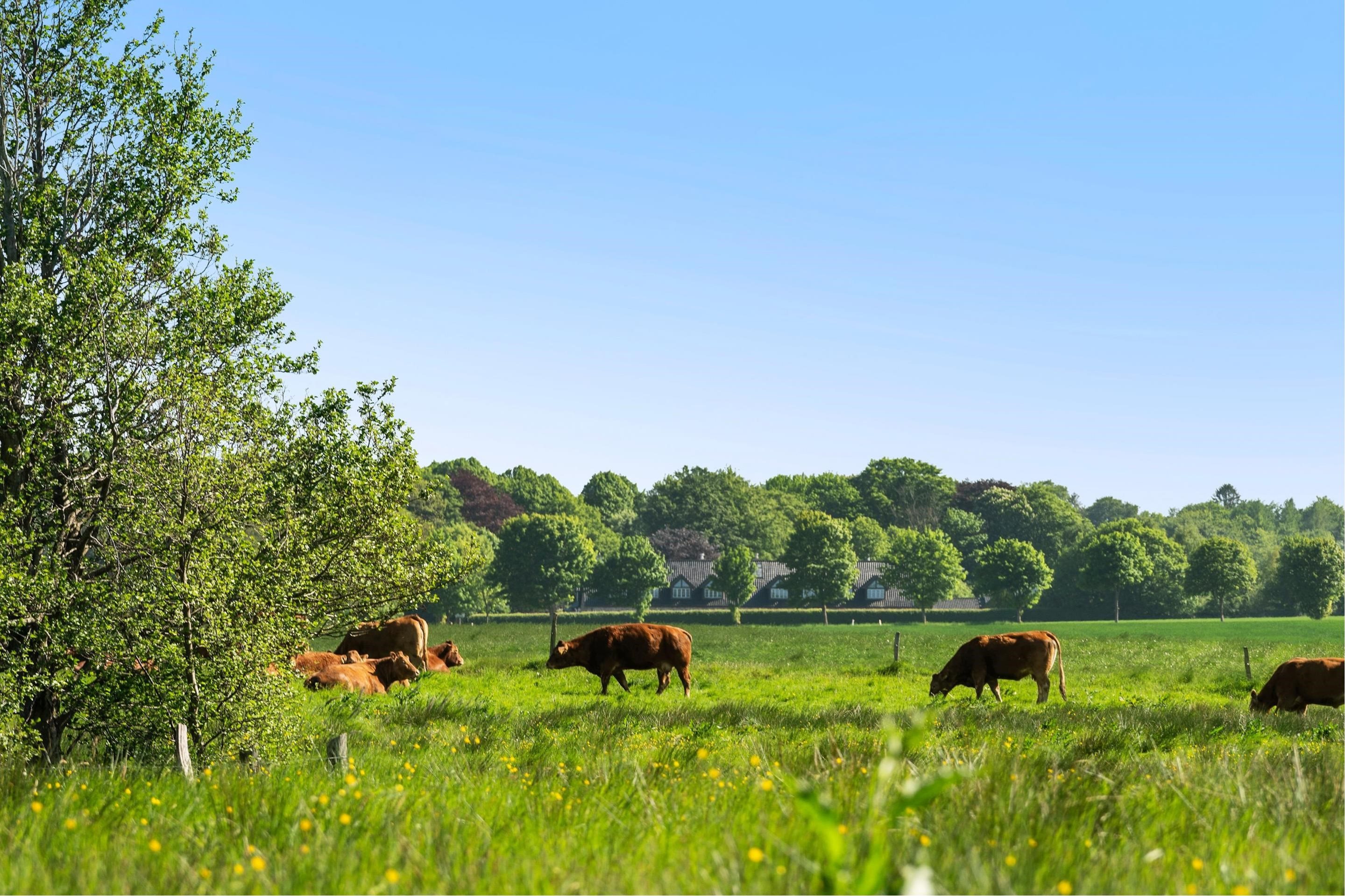 Fremhævet  billede i fuldskærmstilstand. Billede af Harboesvej 16, 3100 Hornbæk
