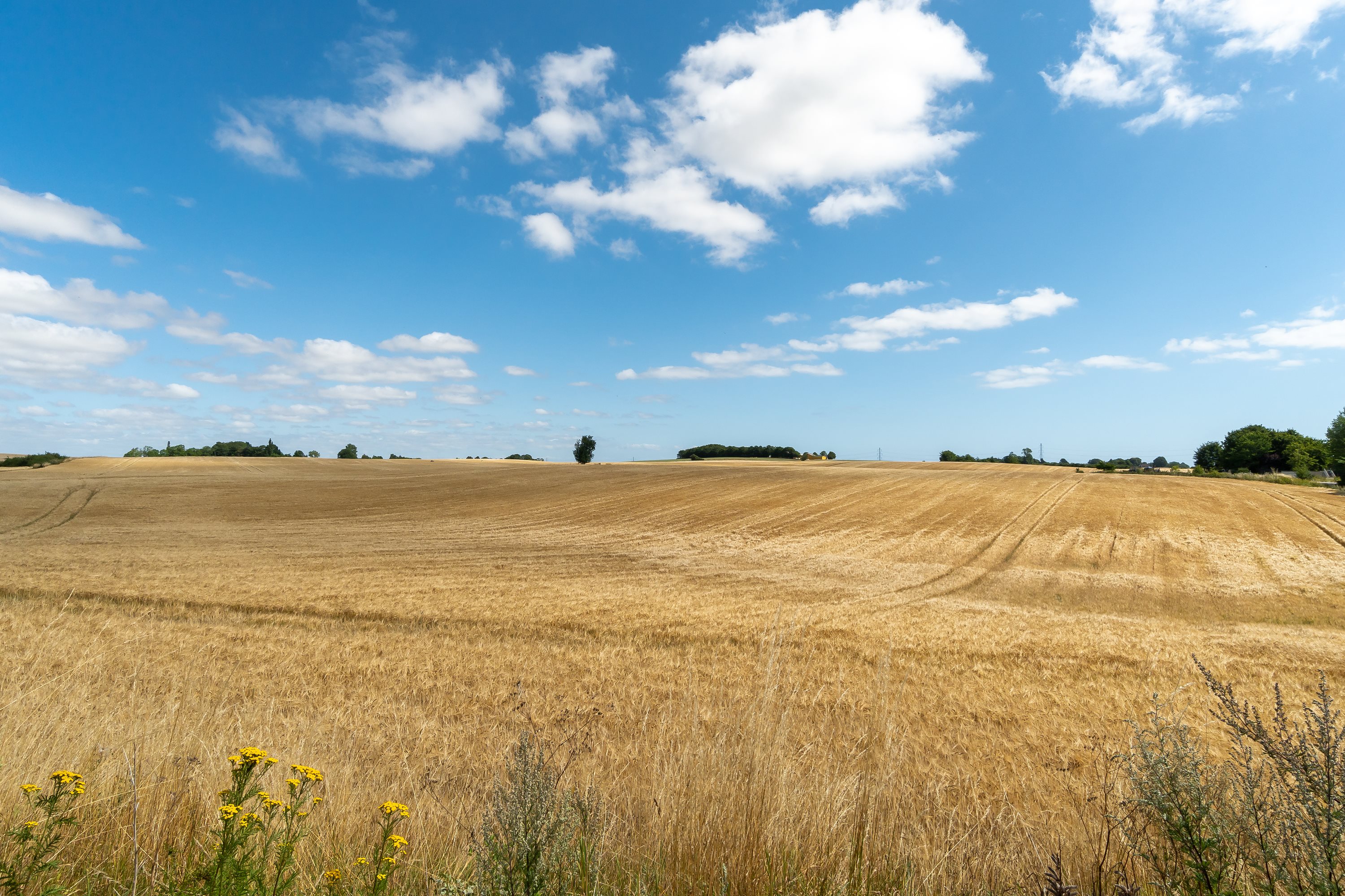Fremhævet udsigt billede i fuldskærmstilstand. Billede af Kirkebjergvej 4, 4623 Lille Skensved