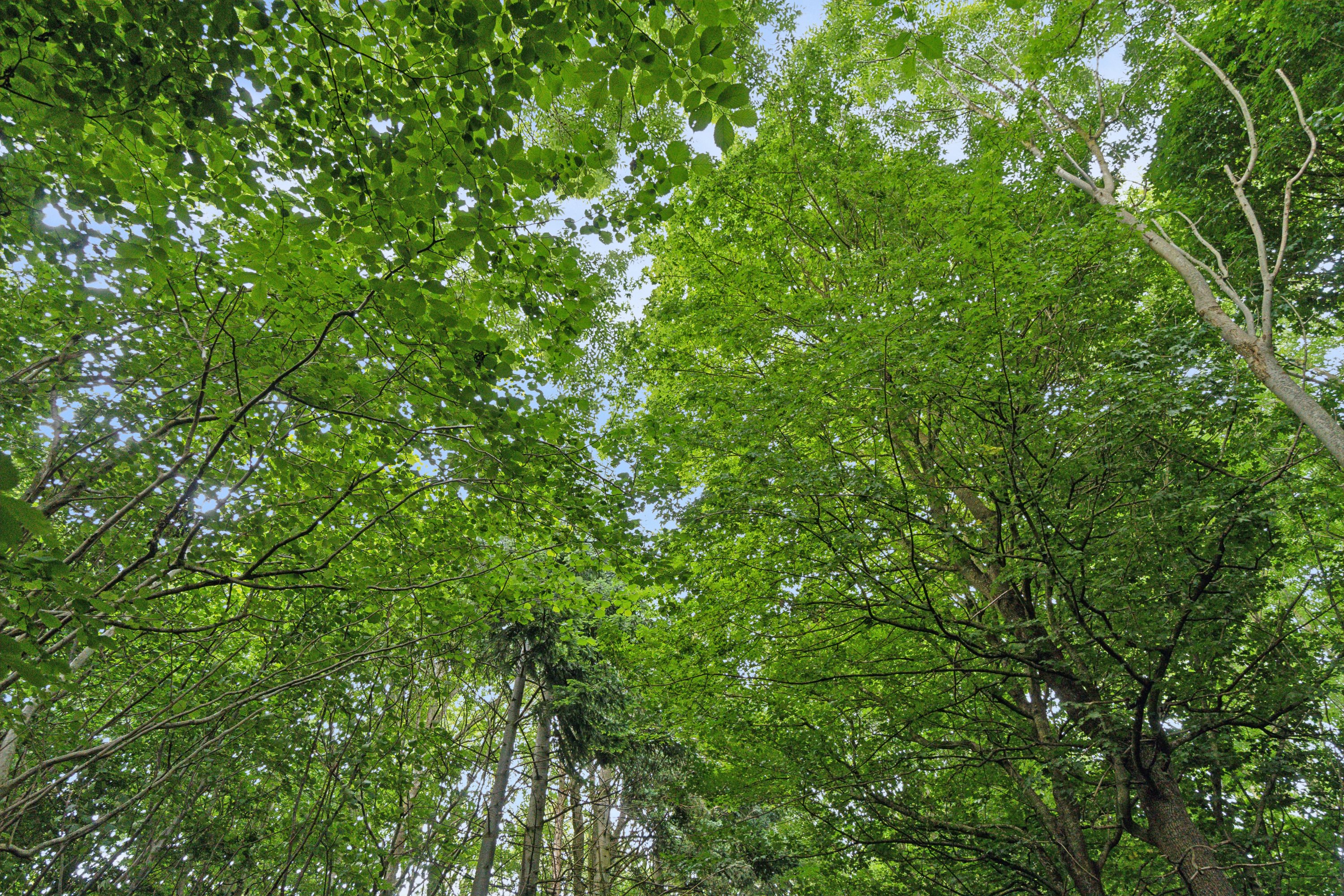 Fremhævet  billede i fuldskærmstilstand. Billede af Oldrupvej 11, 8350 Hundslund