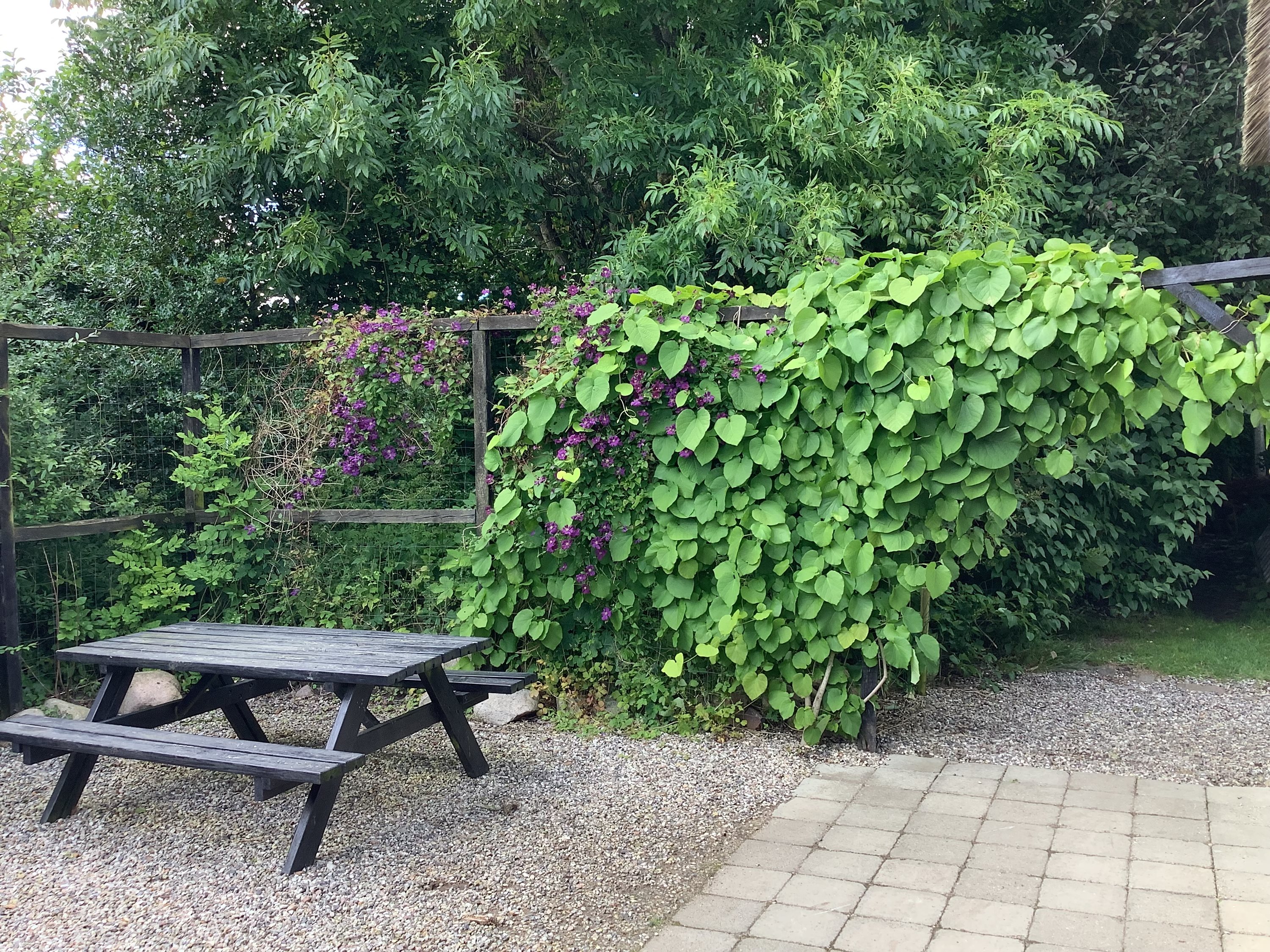 Fremhævet  billede i fuldskærmstilstand. Billede af Oldrupvej 11, 8350 Hundslund