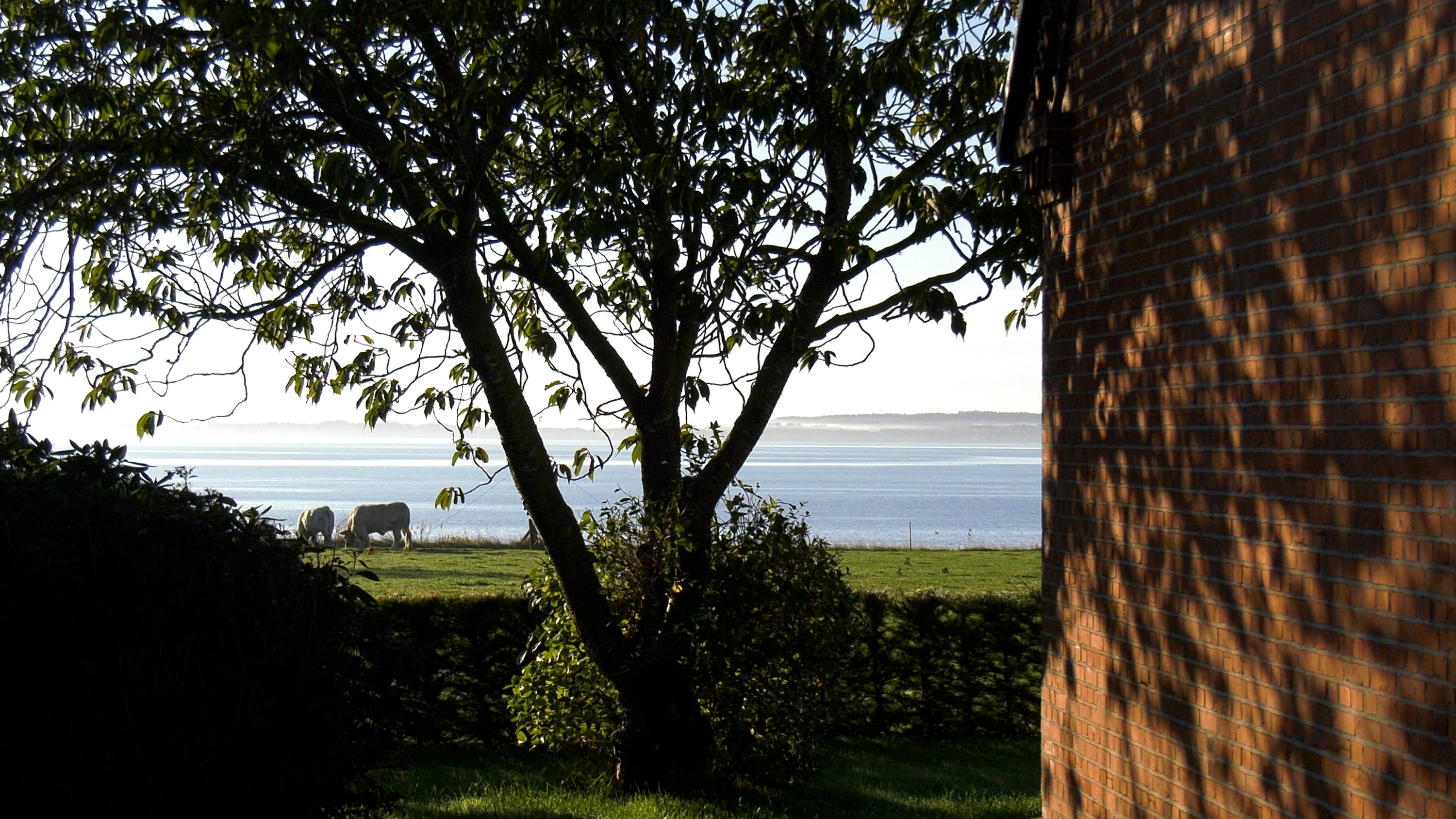 Fremhævet  billede i fuldskærmstilstand. Billede af Romerdammen 9, Sillerslev, 7990 Øster Assels