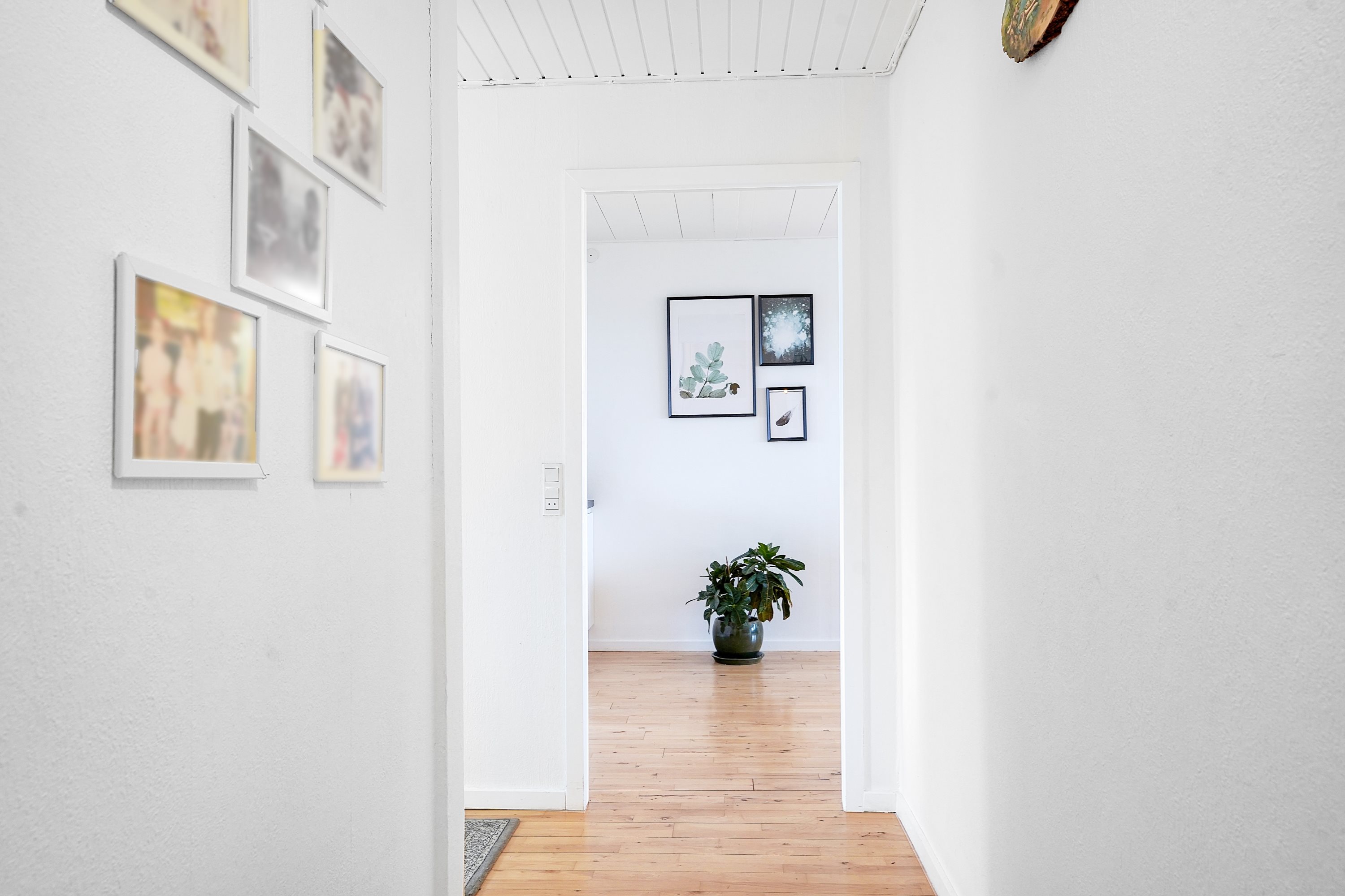 Fremhævet entré billede i fuldskærmstilstand. Billede af Egeparken 33A, 3. tv., 2680 Solrød Strand