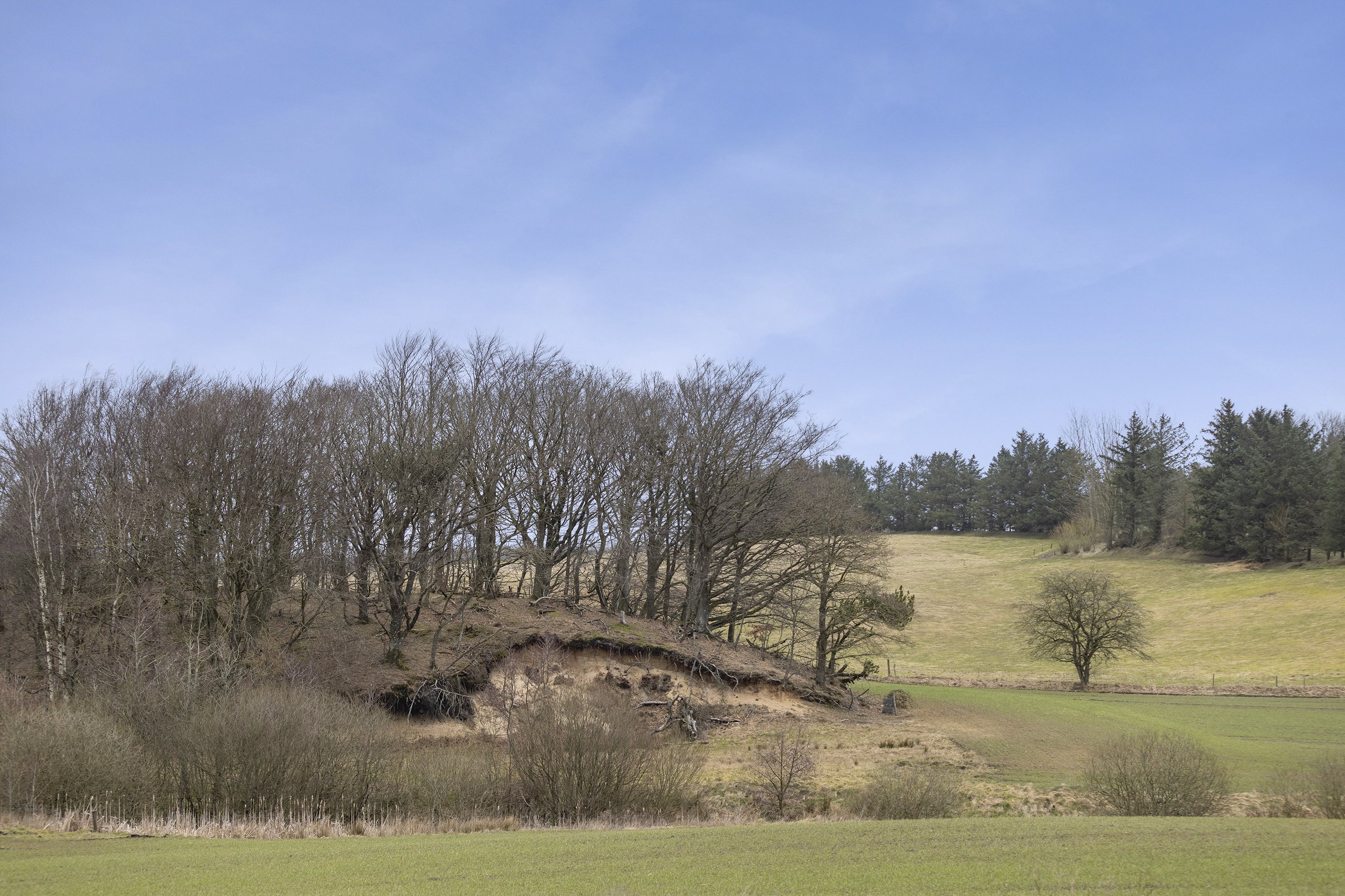 Fremhævet område billede i fuldskærmstilstand. Billede af Sdr. Kirkevej 56, Præstbro, 9330 Dronninglund