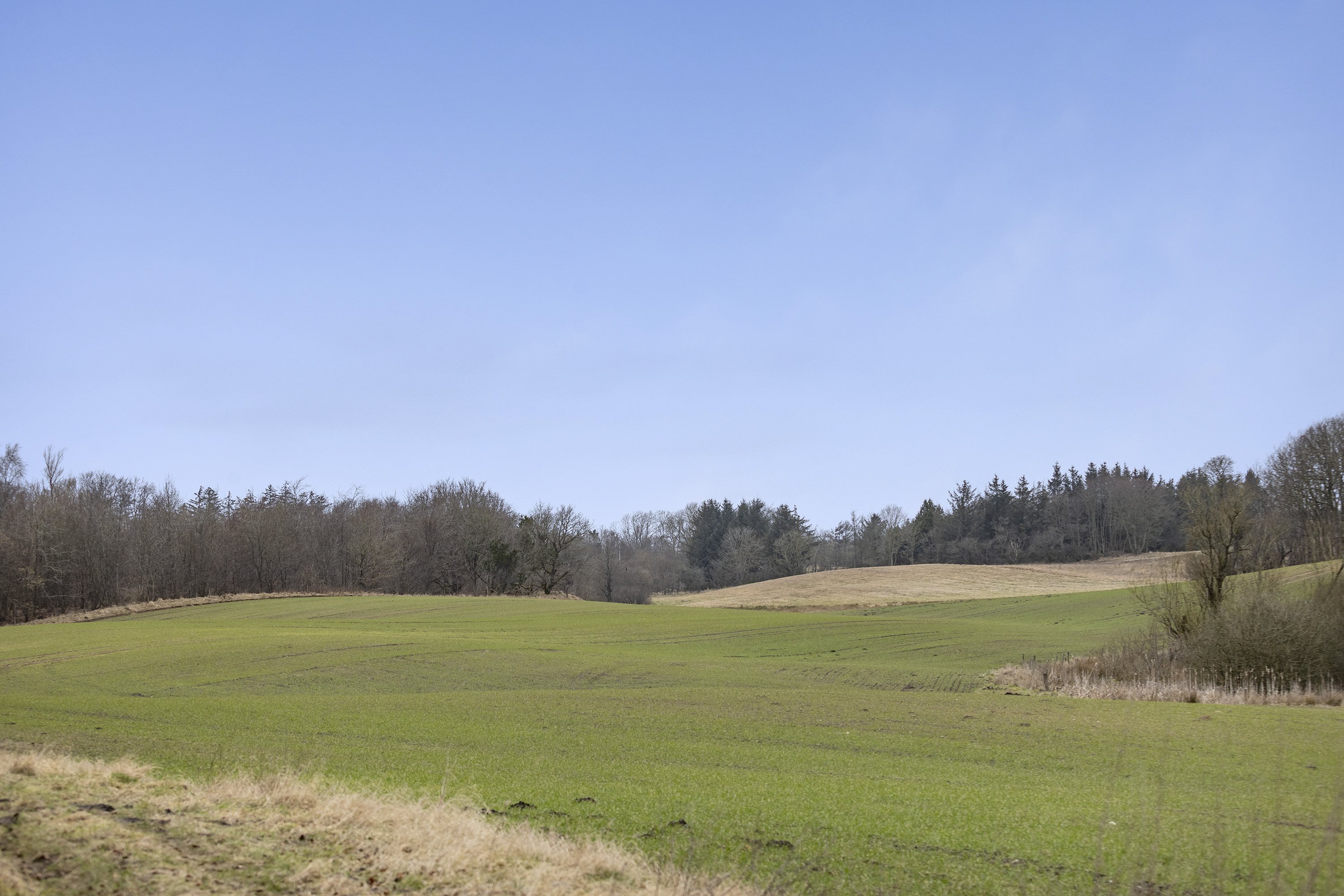 Fremhævet område billede i fuldskærmstilstand. Billede af Sdr. Kirkevej 56, Præstbro, 9330 Dronninglund