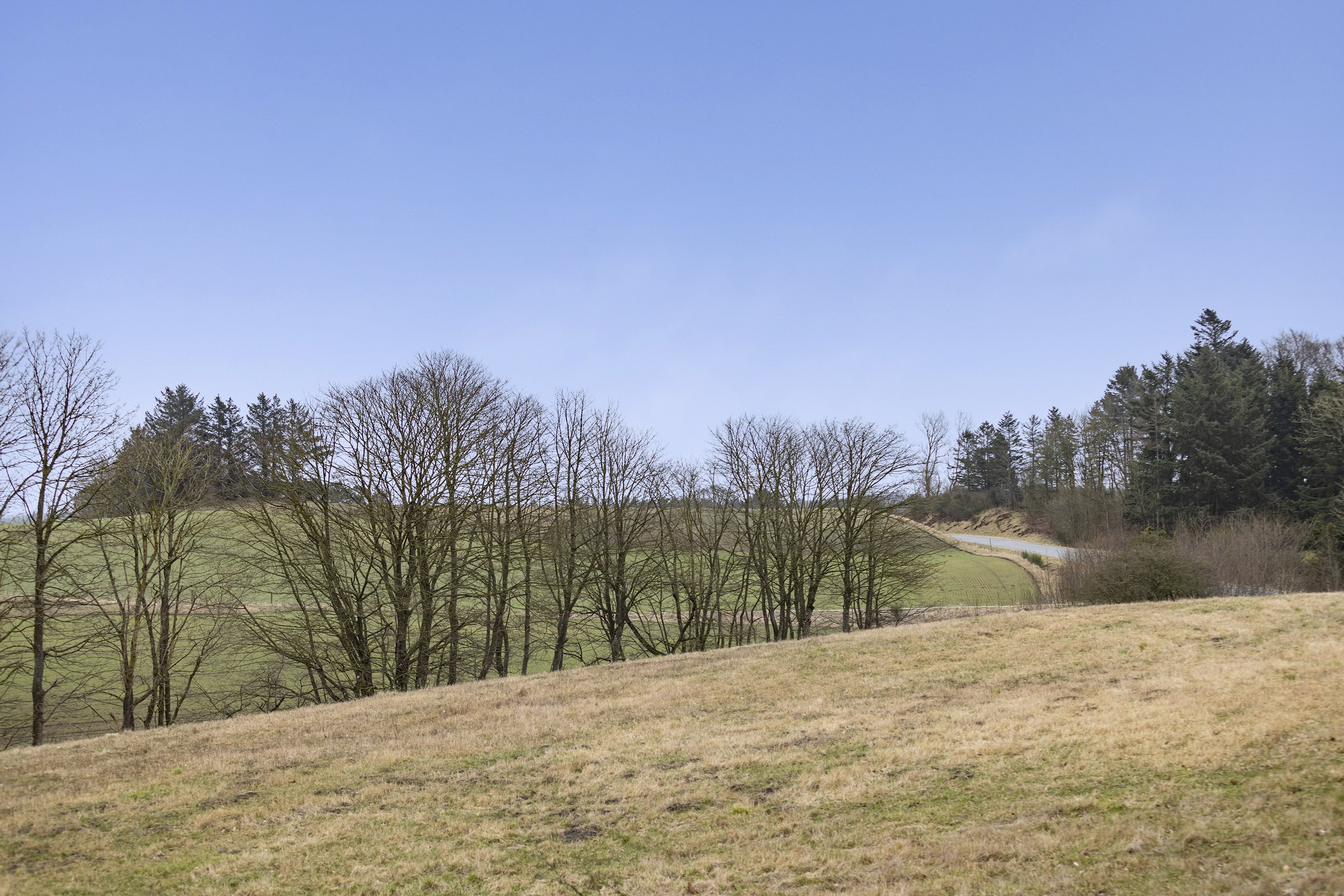 Fremhævet område billede i fuldskærmstilstand. Billede af Sdr. Kirkevej 56, Præstbro, 9330 Dronninglund