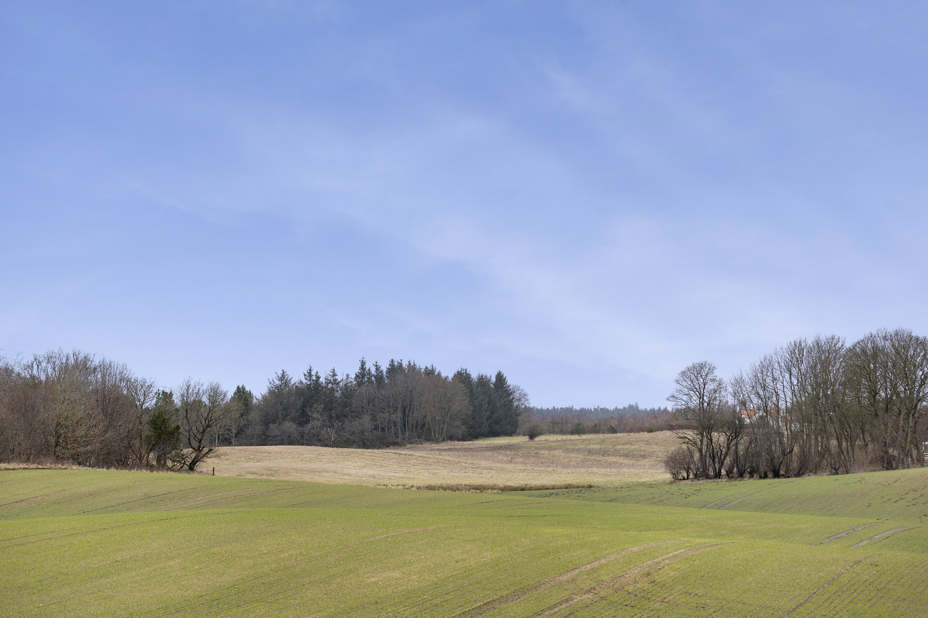 Fremhævet område billede i fuldskærmstilstand. Billede af Sdr. Kirkevej 56, Præstbro, 9330 Dronninglund