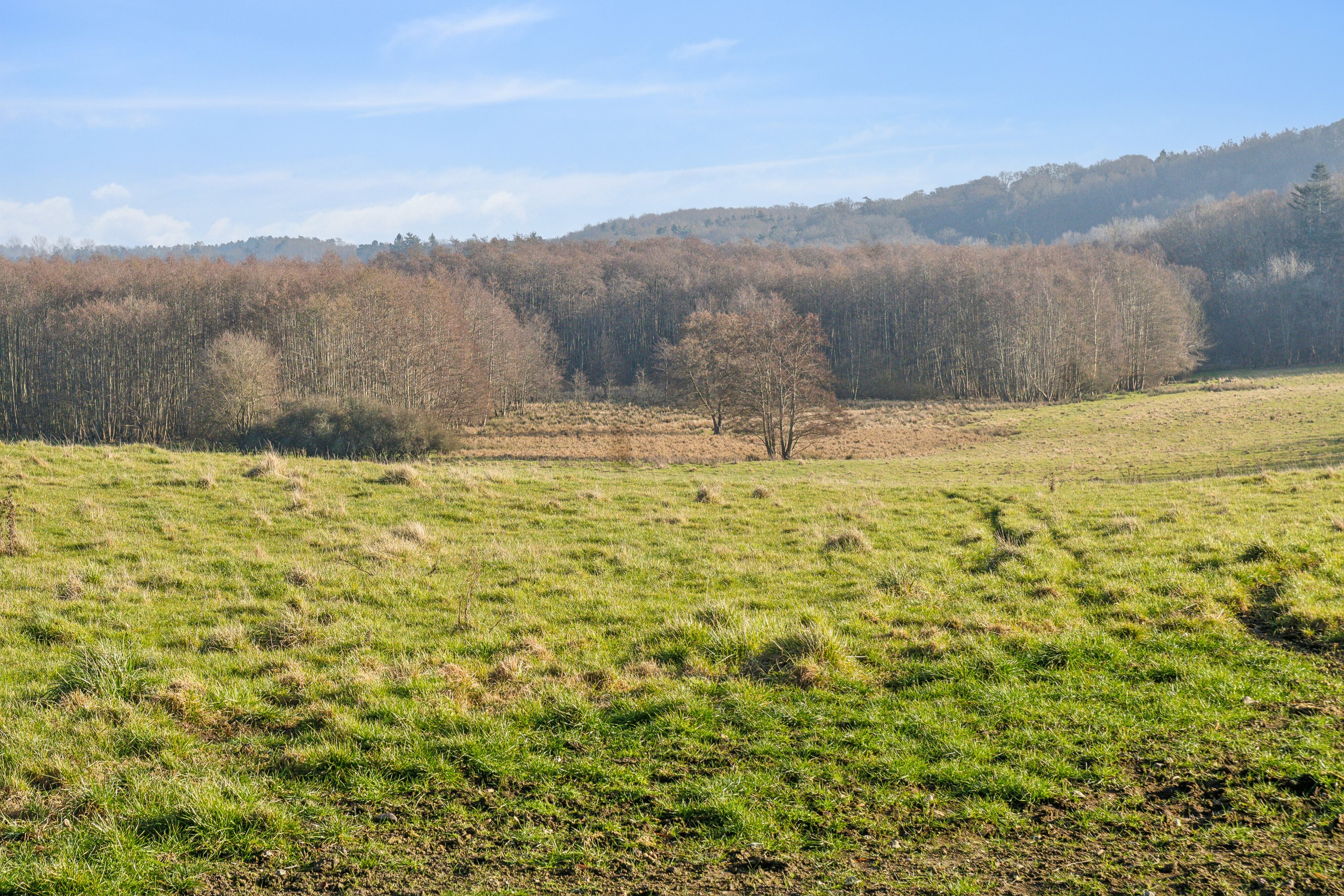 Fremhævet omgivelser billede i fuldskærmstilstand. Billede af Arresødalvej 11C, Vinderød, 3300 Frederiksværk