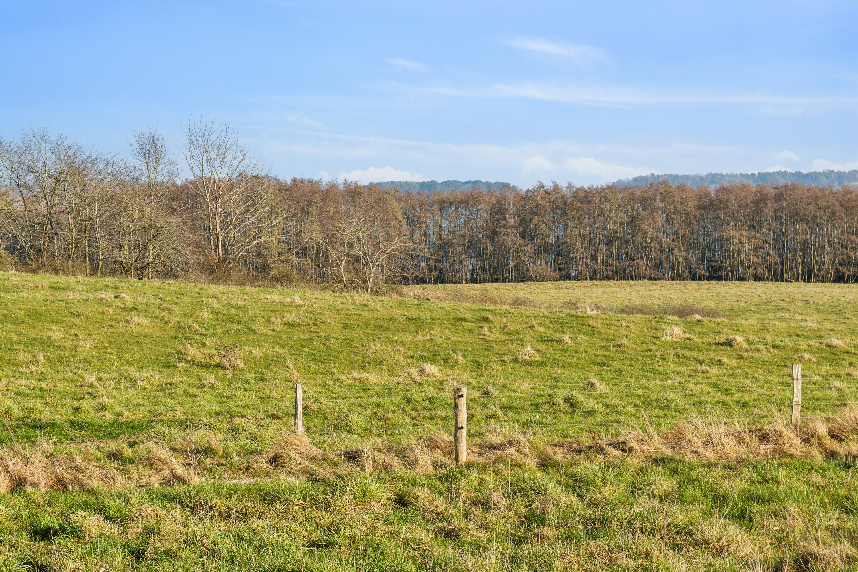 Fremhævet omgivelser billede i fuldskærmstilstand. Billede af Arresødalvej 11C, Vinderød, 3300 Frederiksværk