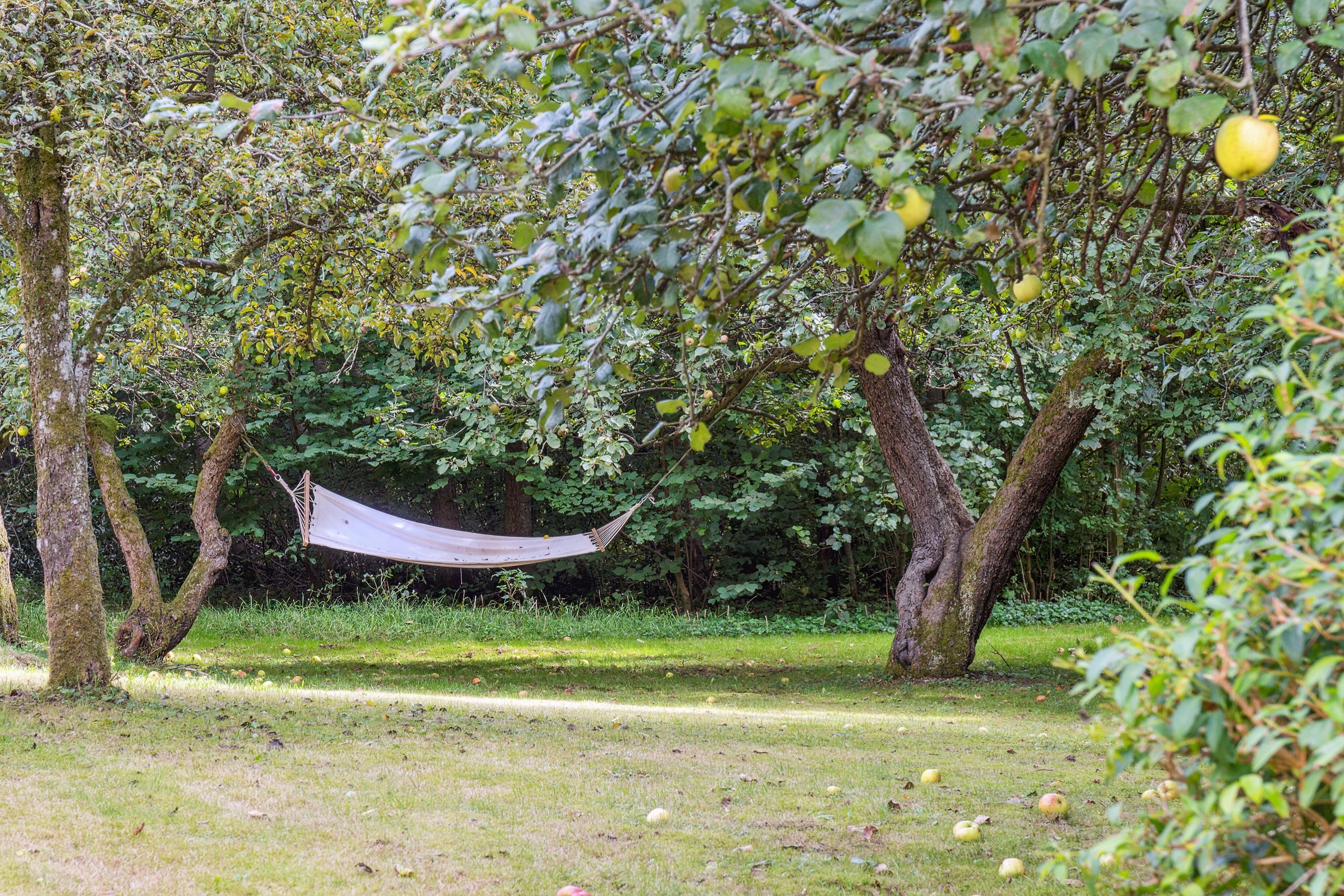 Fremhævet  billede i fuldskærmstilstand. Billede af Assensvej 334, Frankfri, 5690 Tommerup