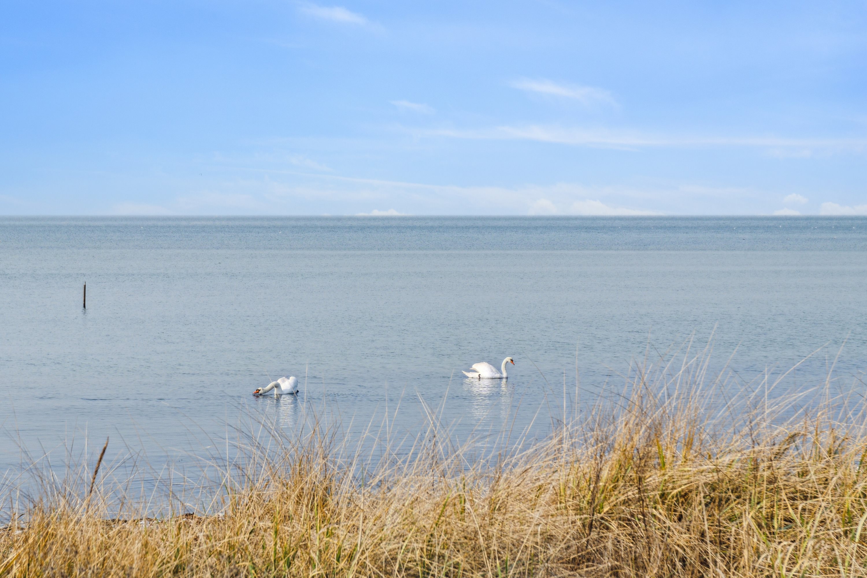 Miniaturebillede 2: havudsigt. Billede af Lundevej 16, Kirke Helsinge, 4281 Gørlev