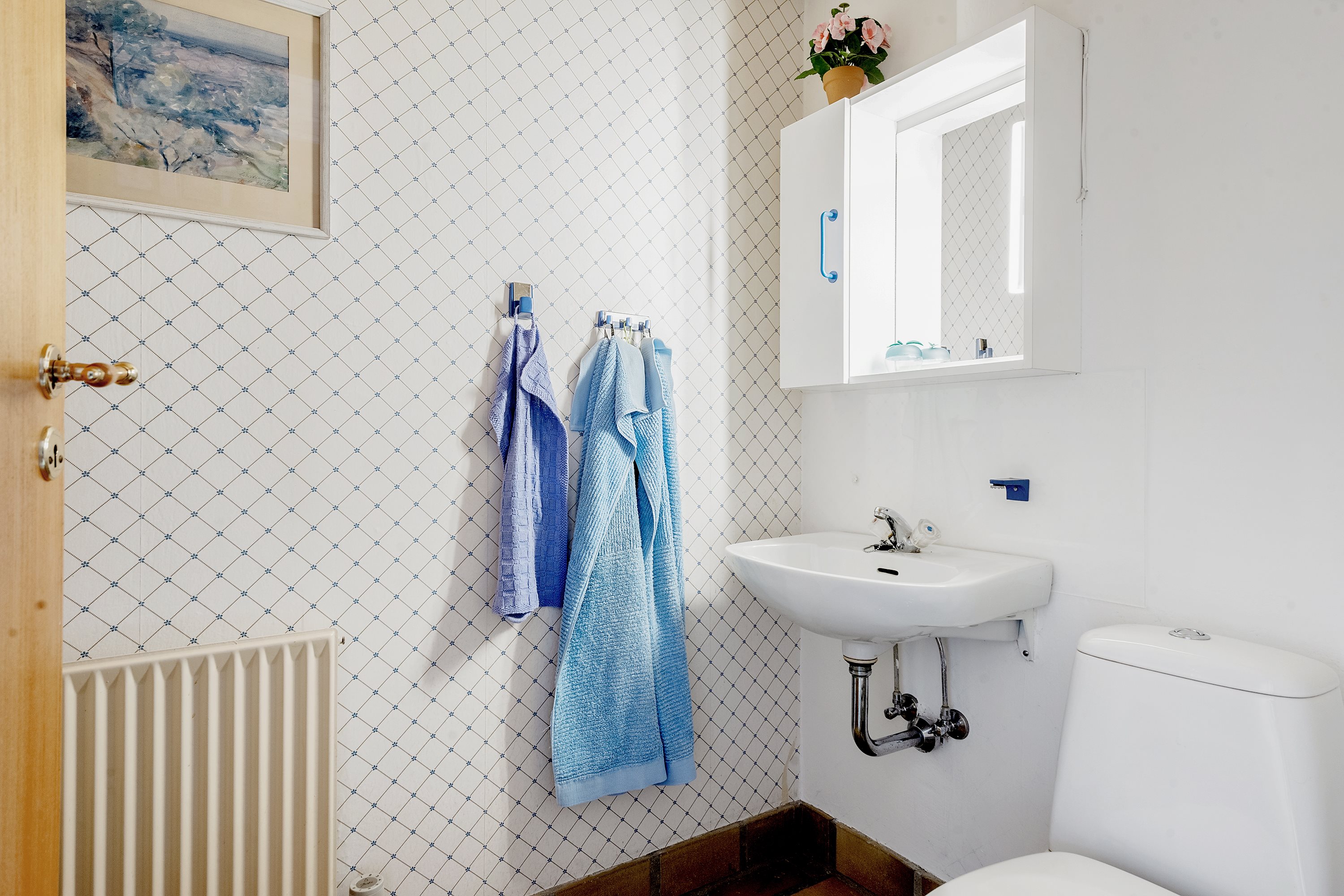 Fremhævet toilet billede i fuldskærmstilstand. Billede af Christianslund 7D, 8300 Odder