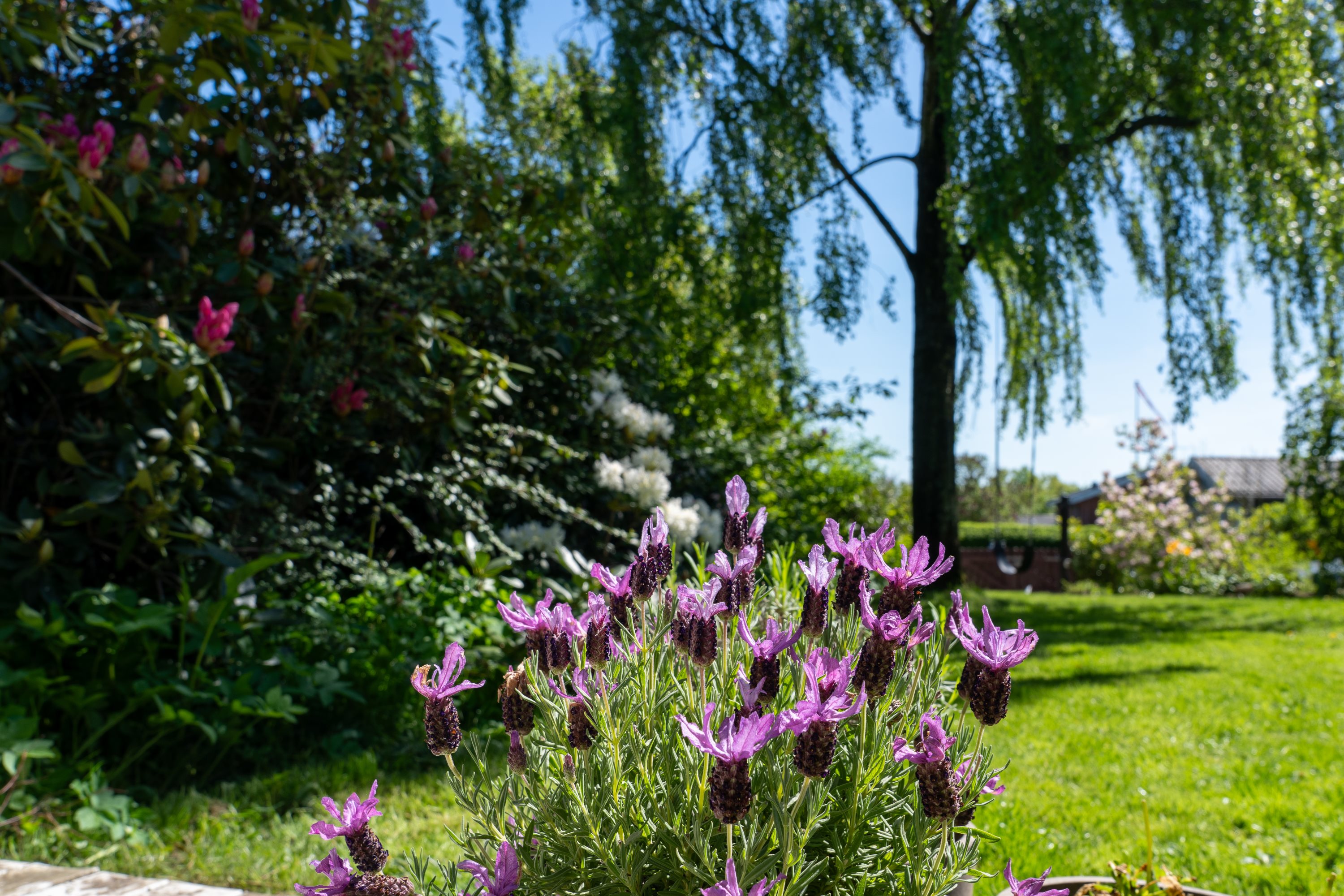 Fremhævet  billede i fuldskærmstilstand. Billede af Skrænten 9, Ø Tørslev, 8983 Gjerlev J