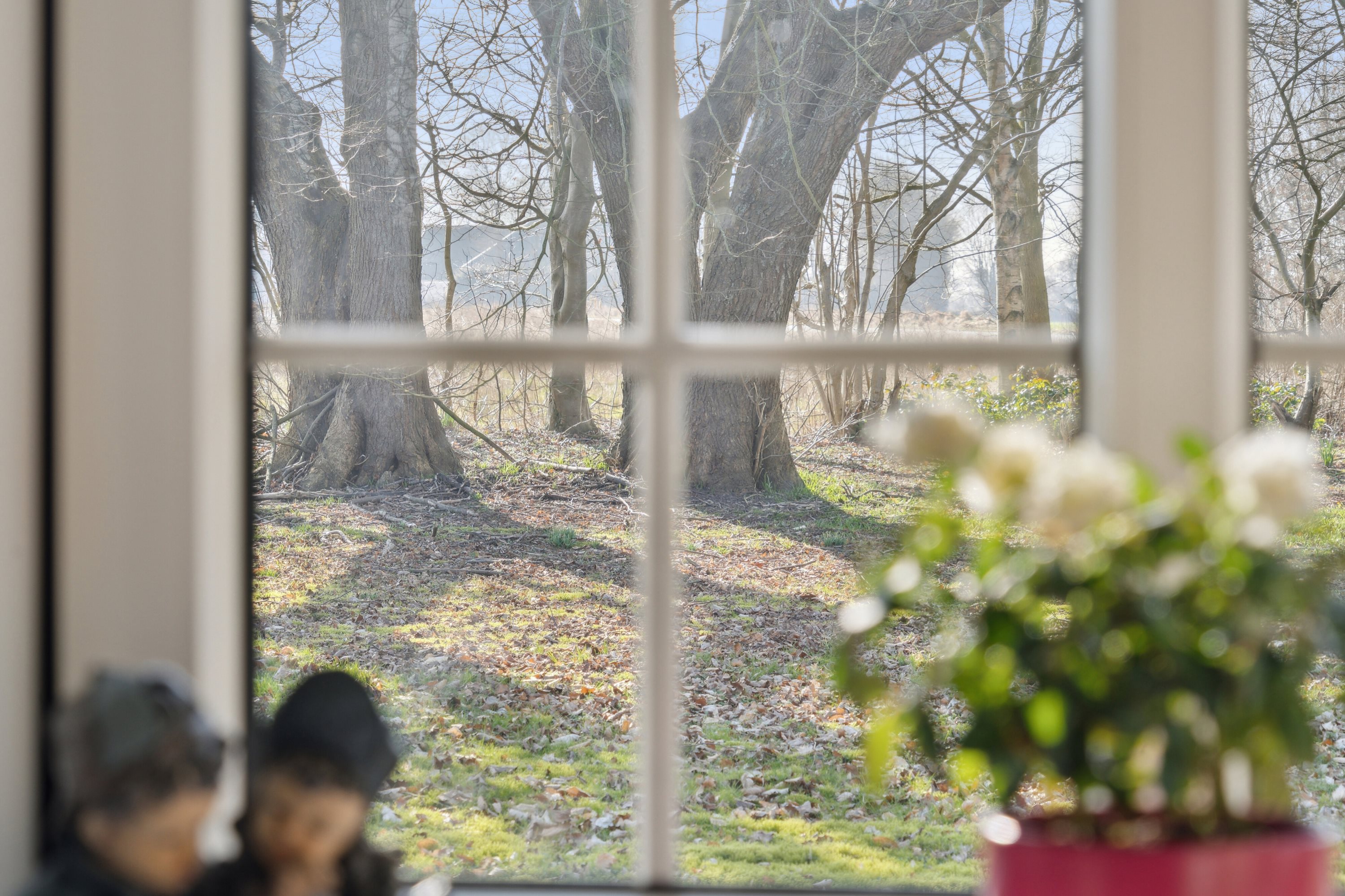 Fremhævet stue billede i fuldskærmstilstand. Billede af Tornum Skovvej 1, 6660 Lintrup