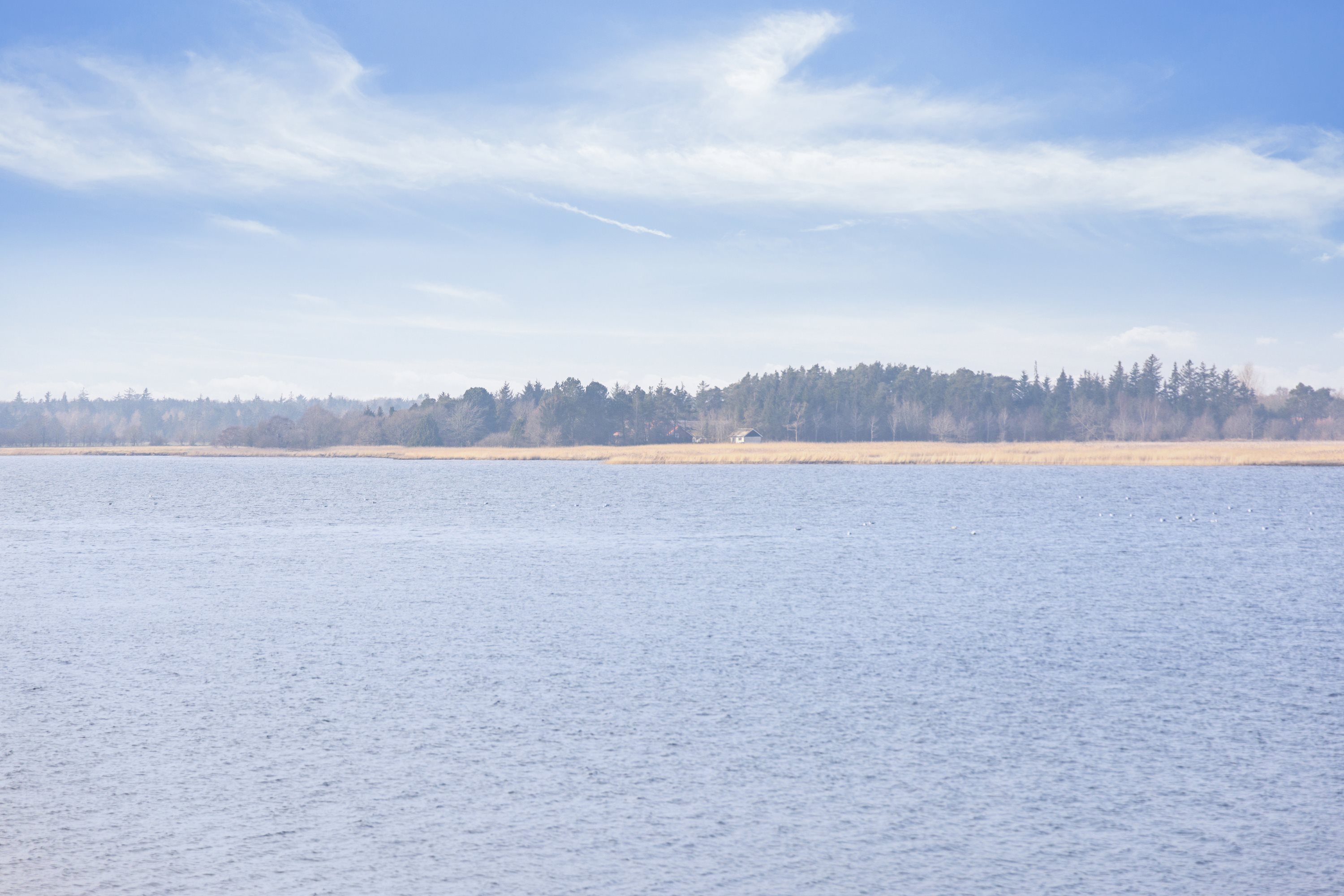 Fremhævet omgivelser billede i fuldskærmstilstand. Billede af Vestpieren 14, 9370 Hals