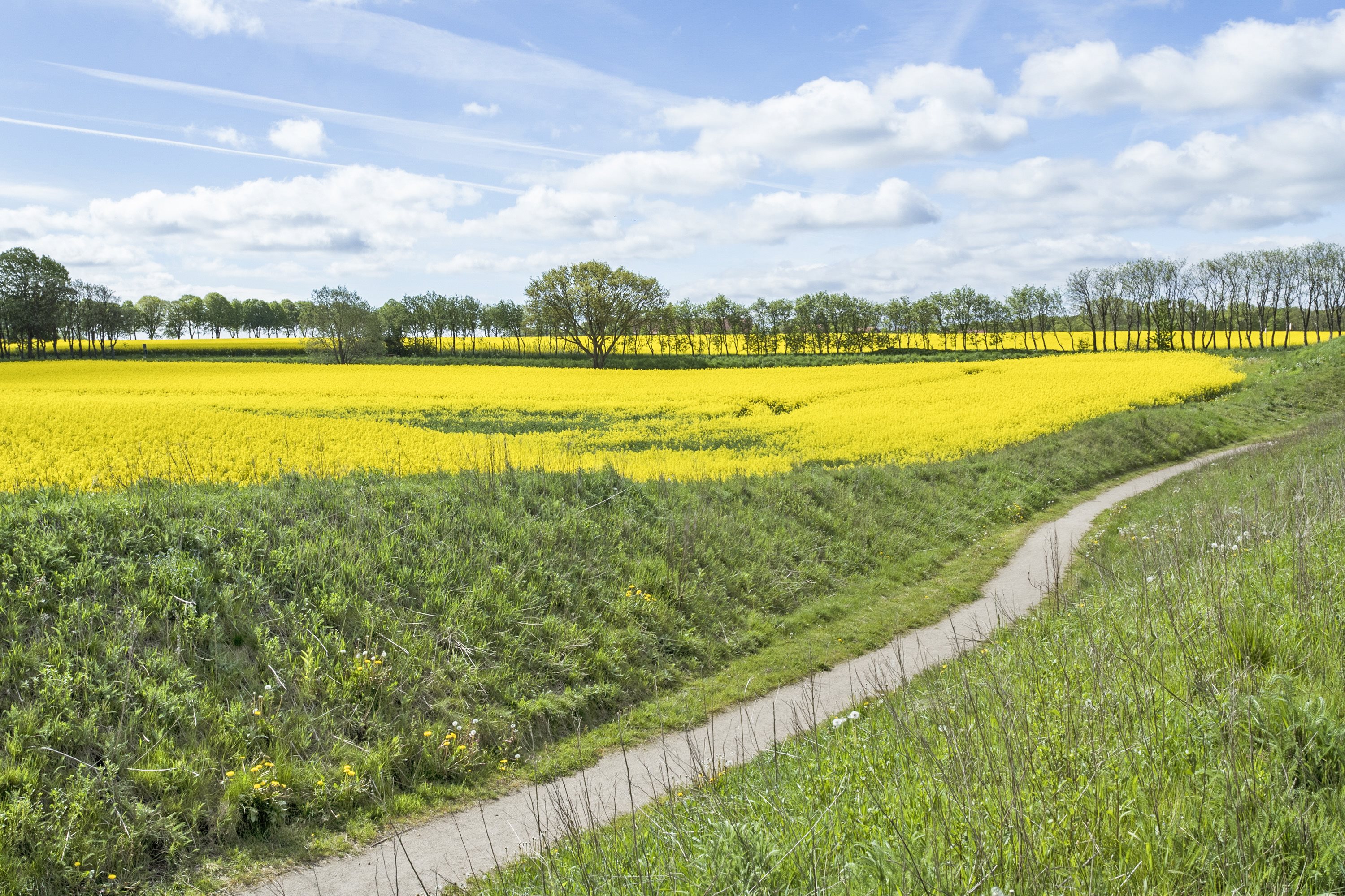 Fremhævet område billede i fuldskærmstilstand. Billede af Præstelunden 68, 8300 Odder